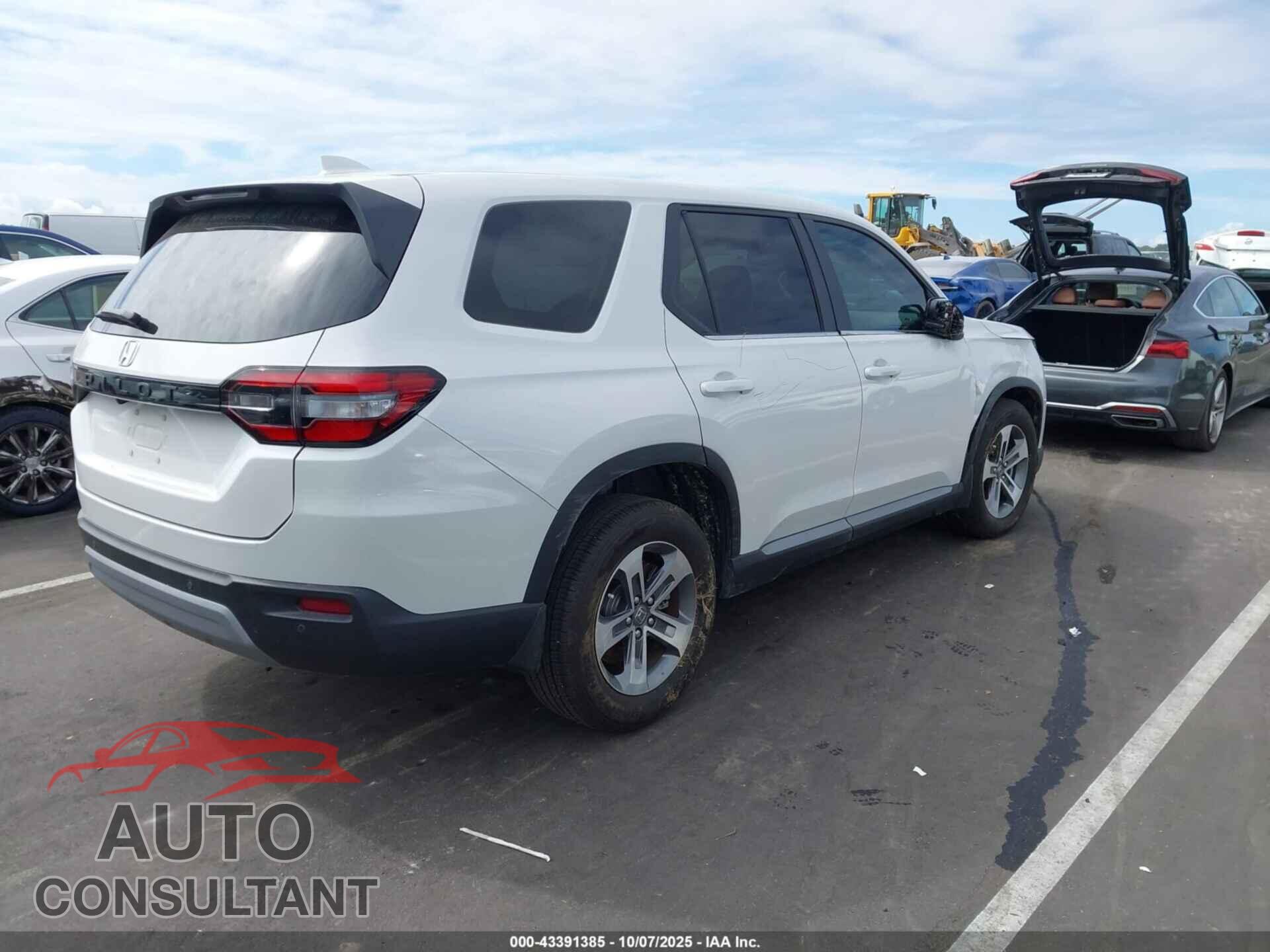 HONDA PILOT 2024 - 5FNYG2H47RB012582