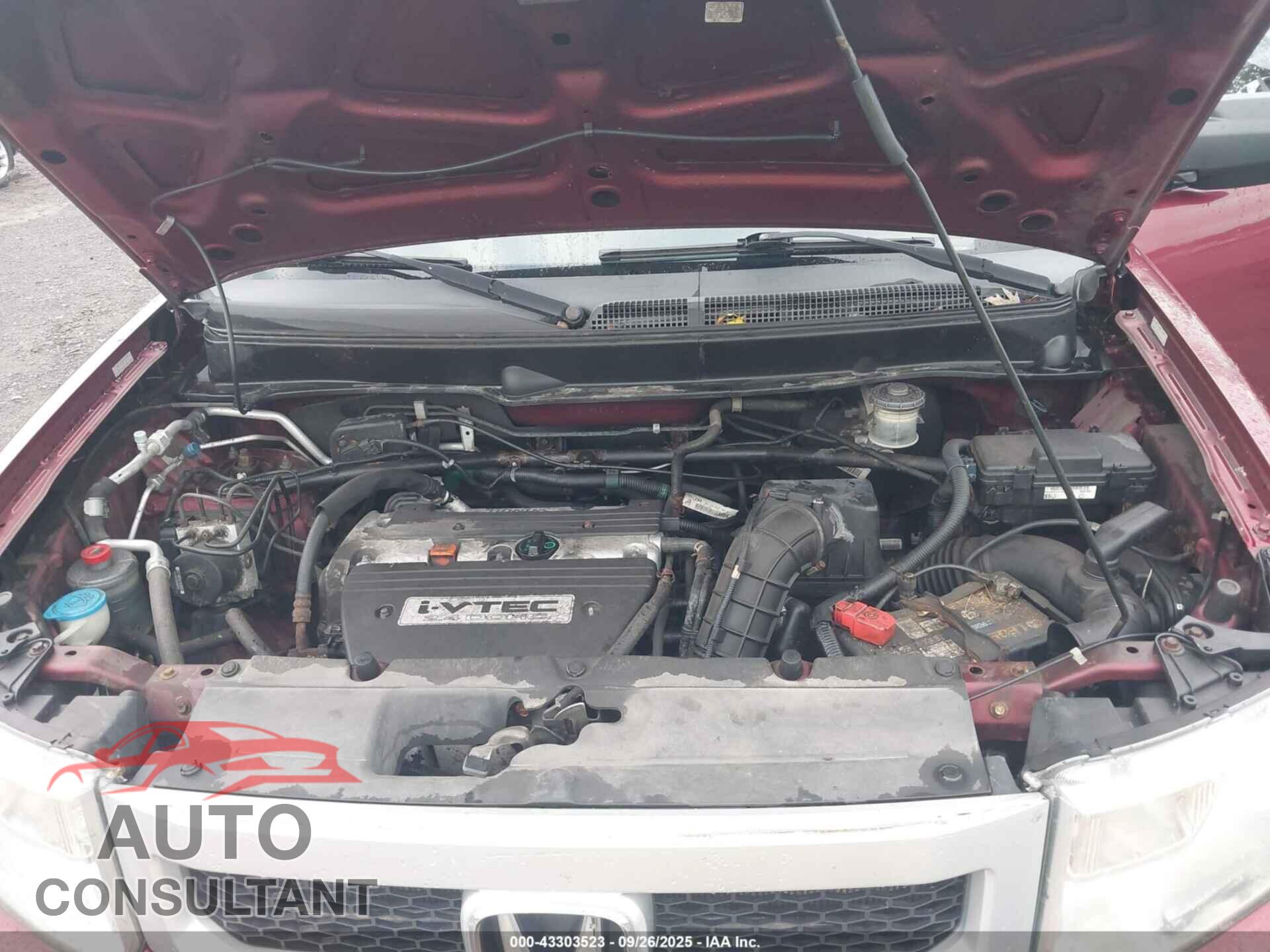 HONDA ELEMENT 2009 - 5J6YH28719L004380