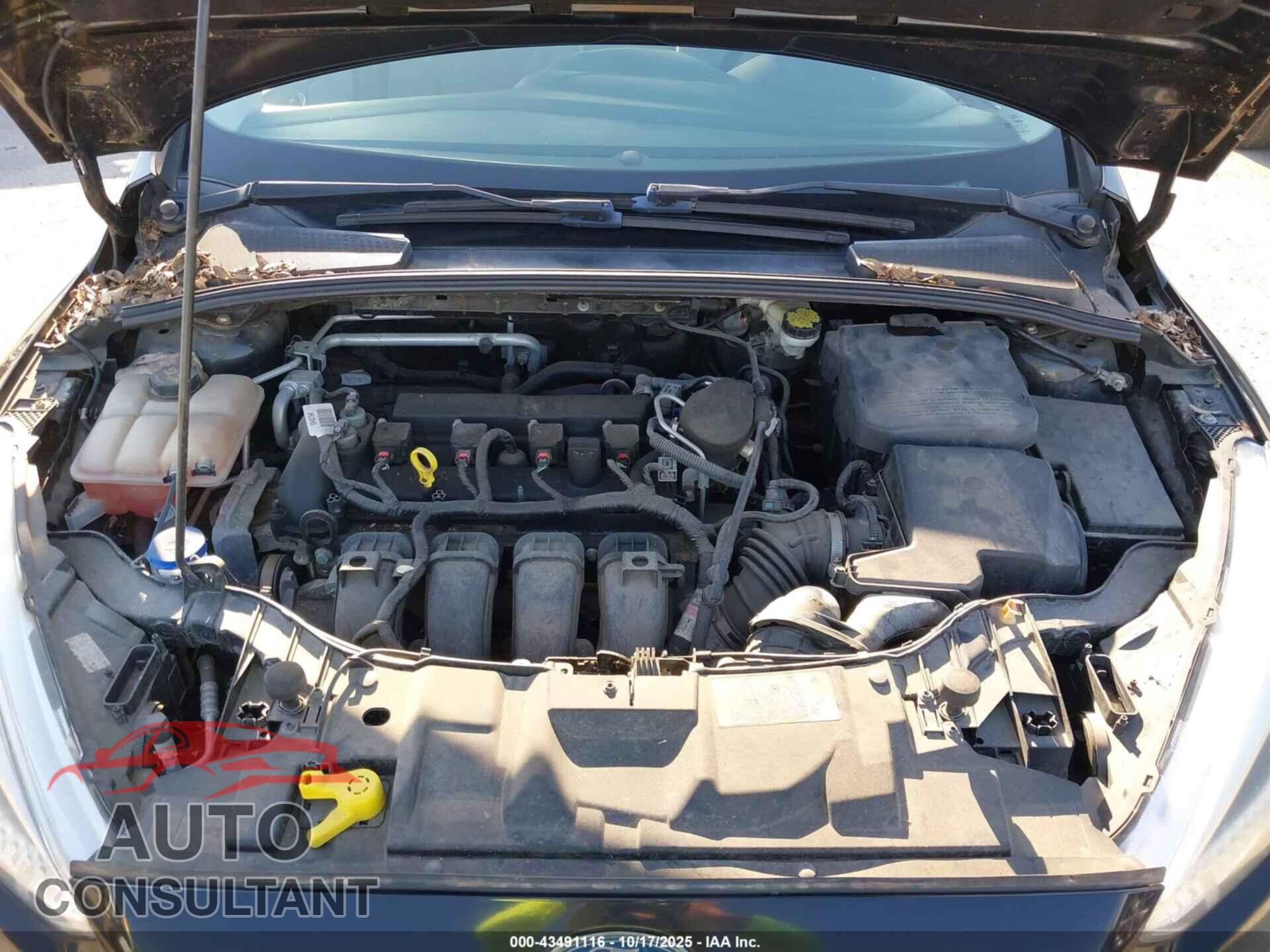 FORD FOCUS 2015 - 1FADP3F2XFL217043