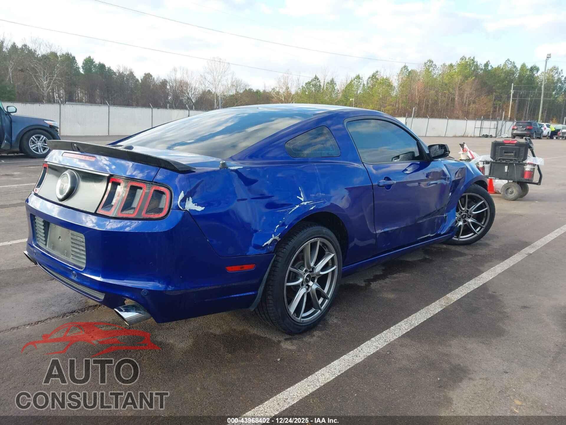 FORD MUSTANG 2014 - 1ZVBP8CF5E5246648