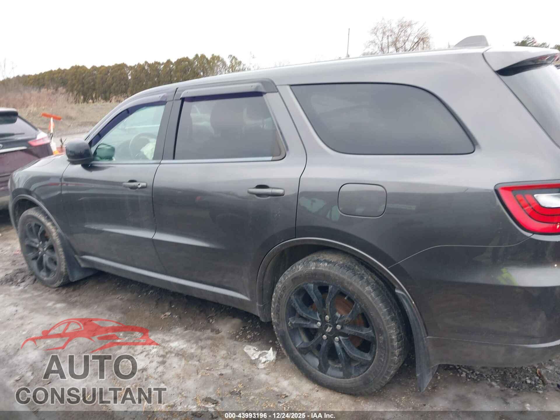 DODGE DURANGO 2019 - 1C4RDJDG7KC771369