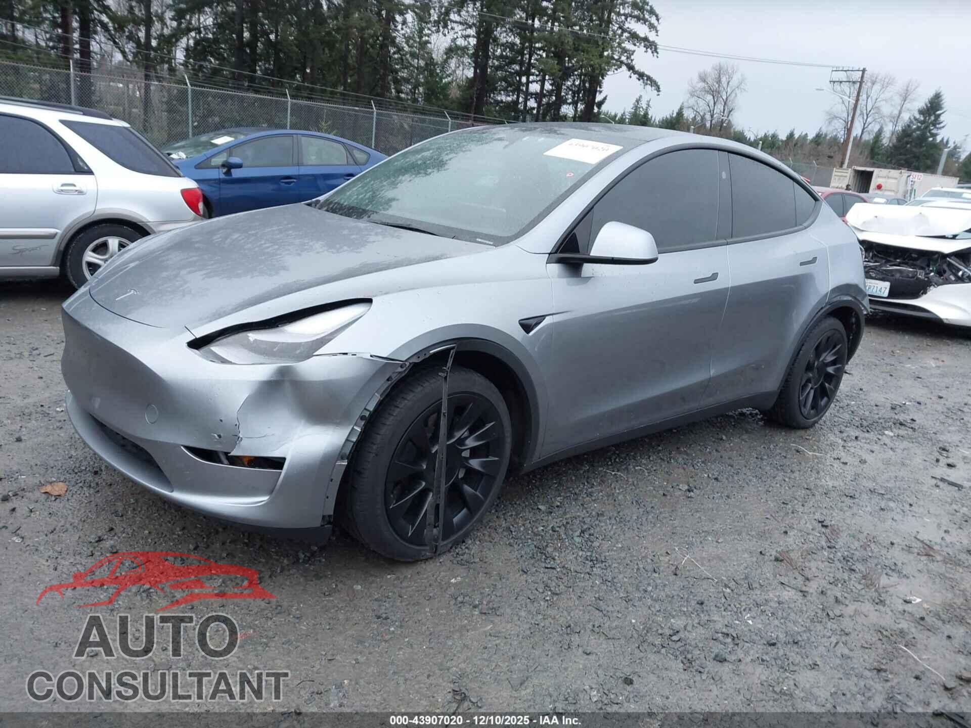 TESLA MODEL Y 2024 - 7SAYGDEE8RA295695