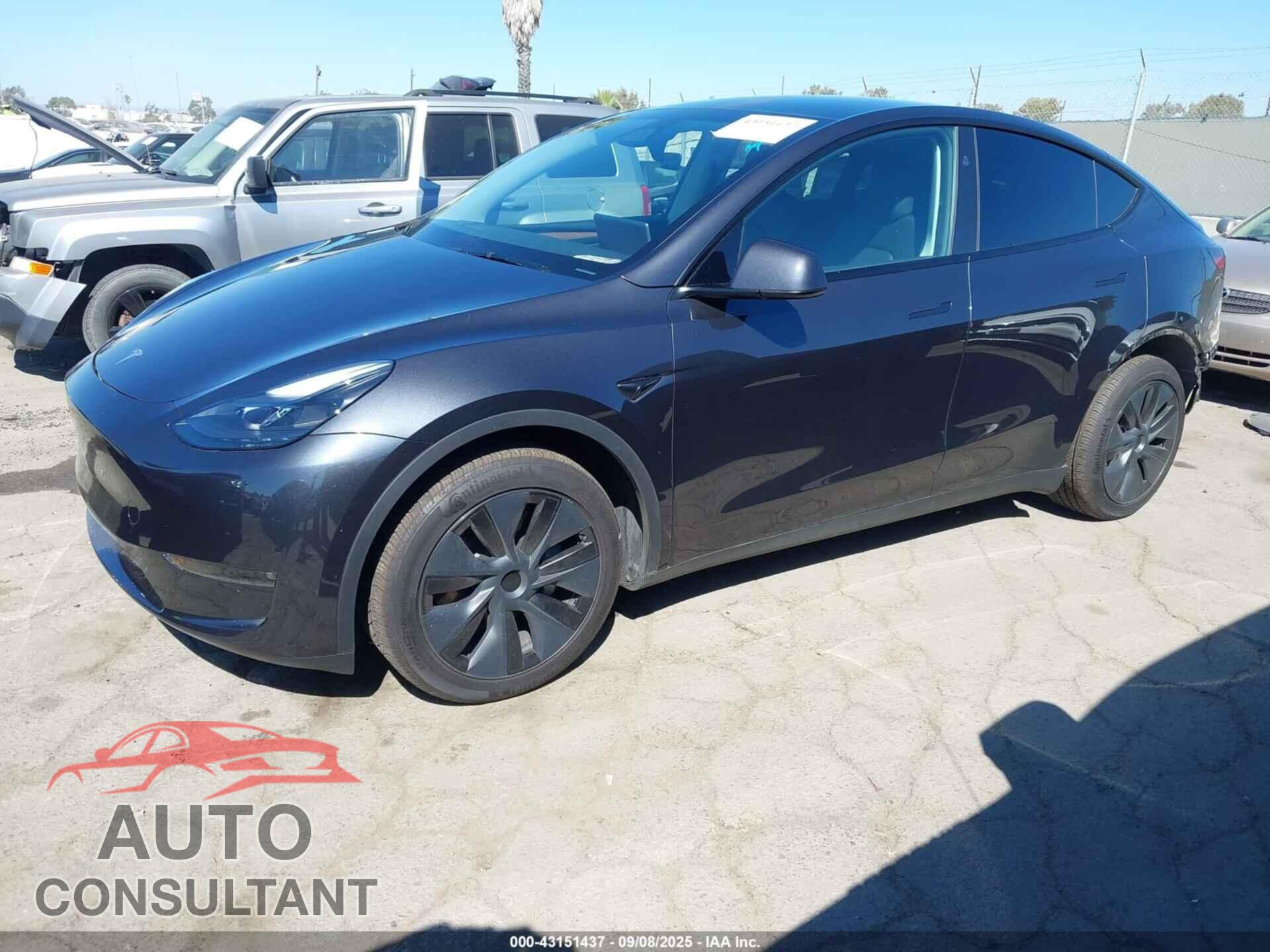 TESLA MODEL Y 2024 - 7SAYGDEEXRF161757
