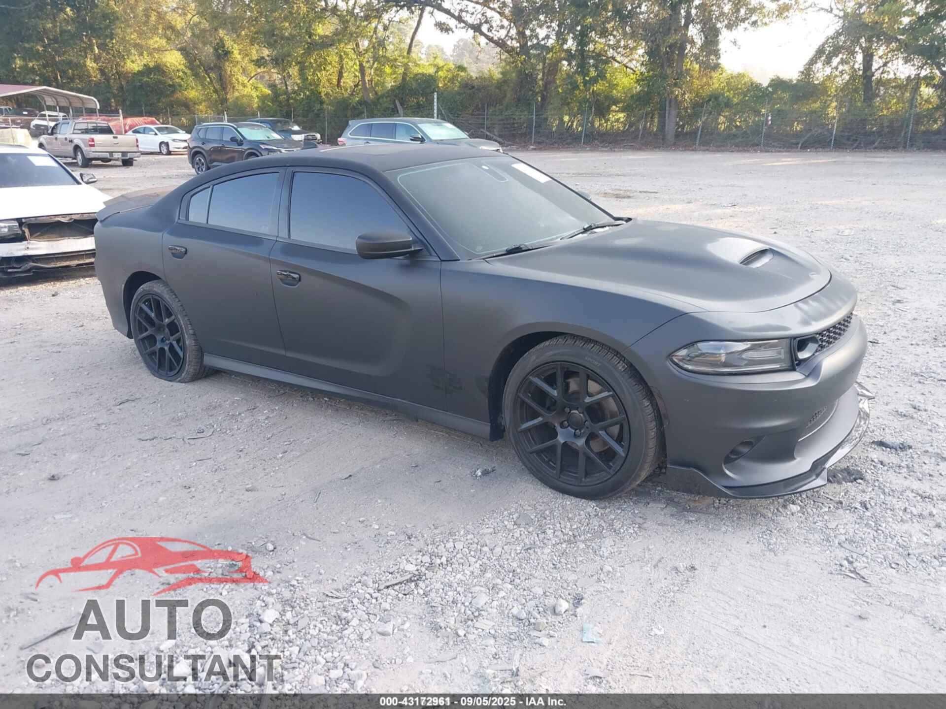 DODGE CHARGER 2019 - 2C3CDXCT0KH754017