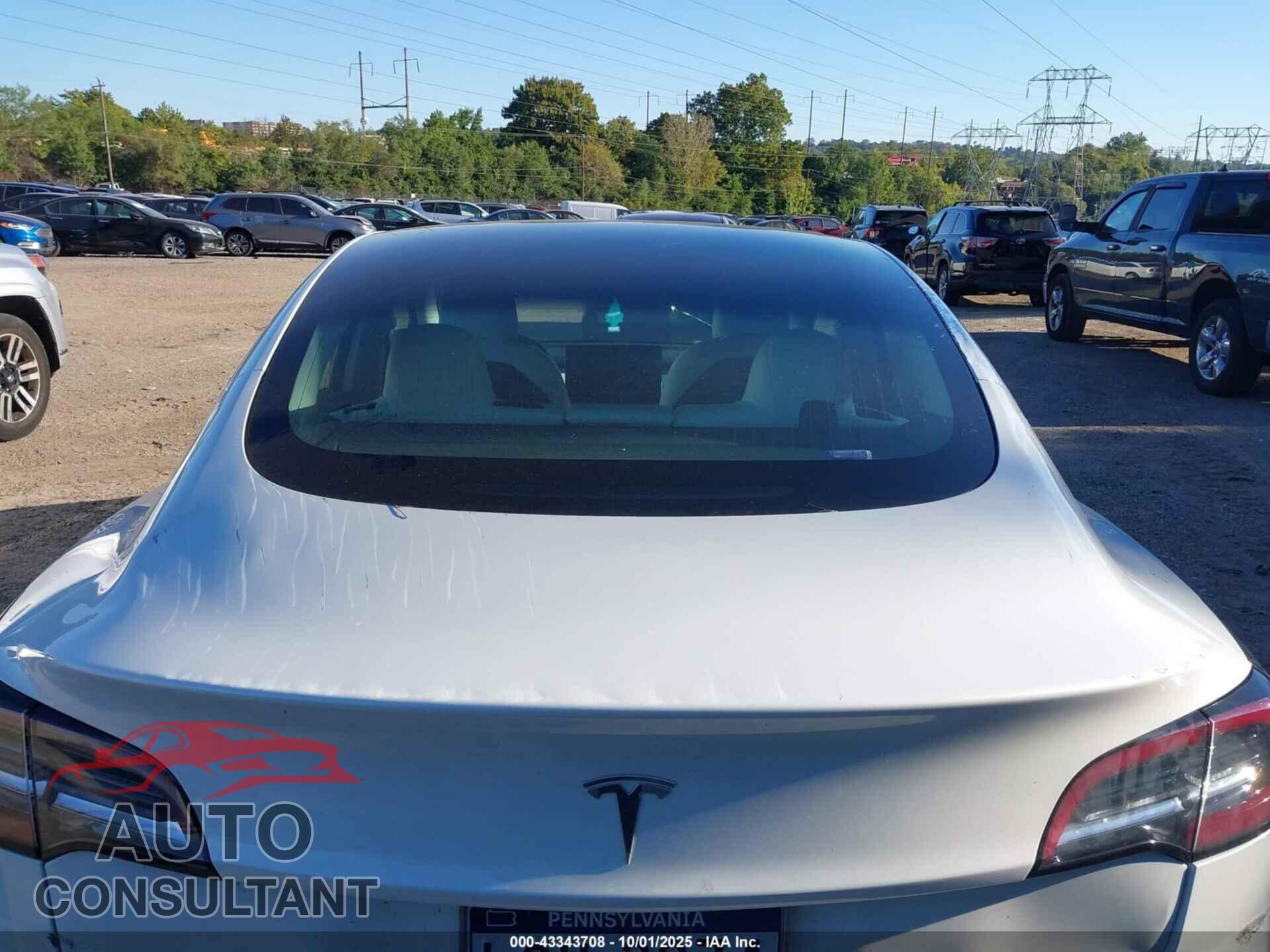 TESLA MODEL 3 2019 - 5YJ3E1EB9KF454668
