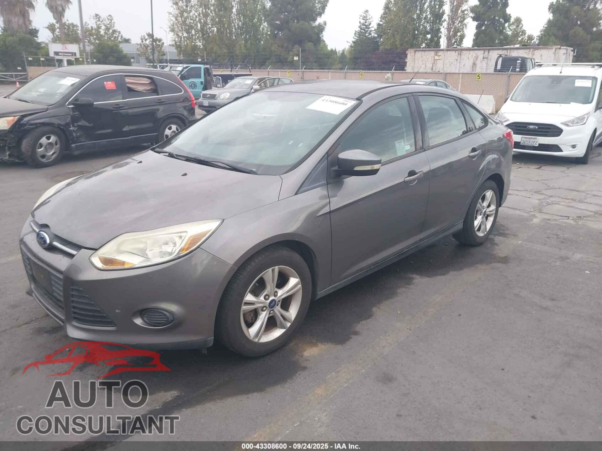 FORD FOCUS 2013 - 1FADP3F29DL264769