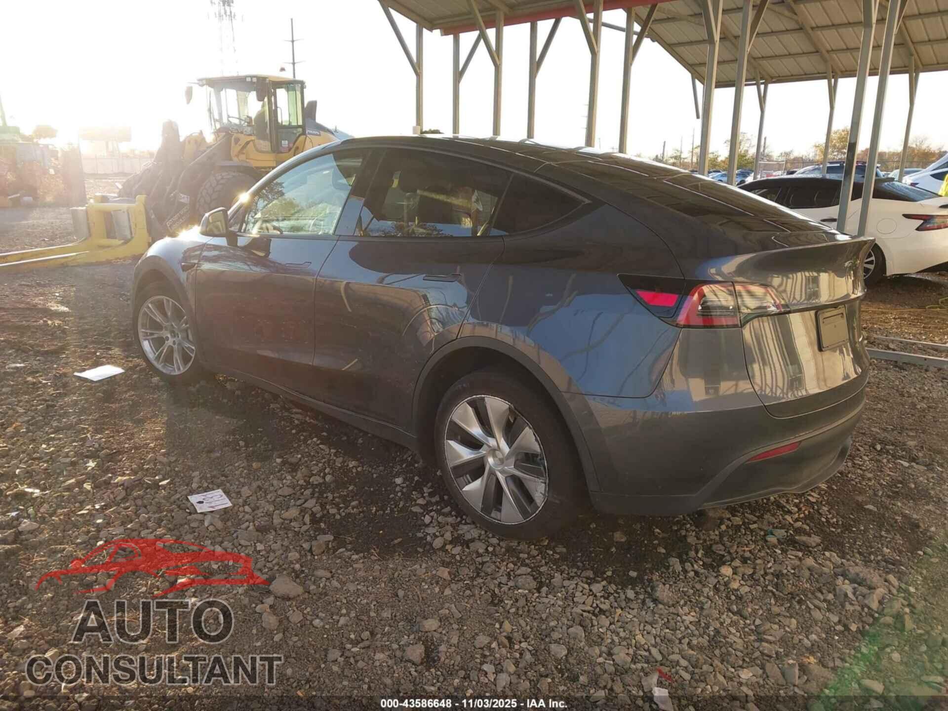 TESLA Y 2023 - 7SAYGDEE8CF861550
