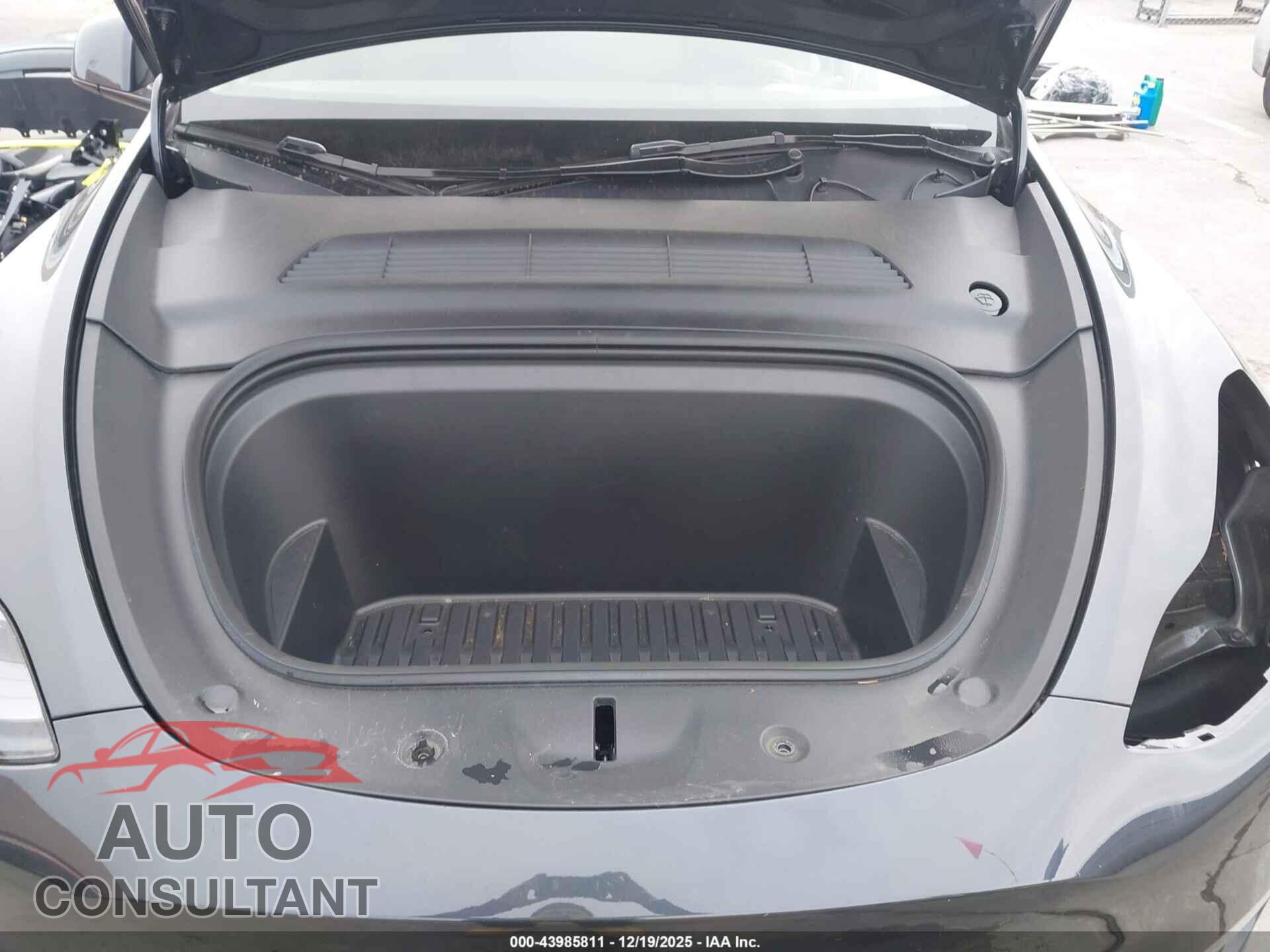 TESLA MODEL Y 2024 - 7SAYGDEE9RF071449
