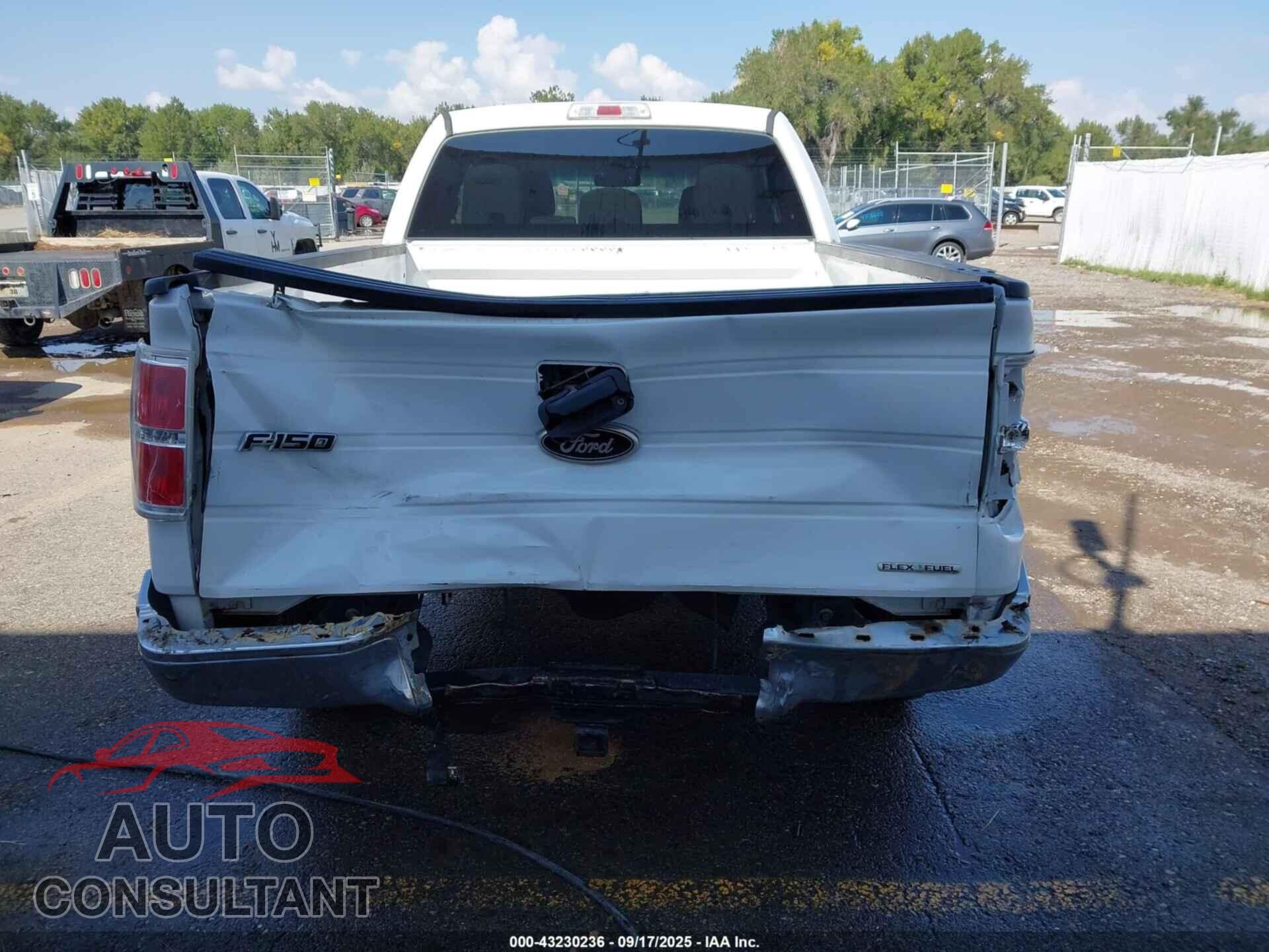FORD F-150 2011 - 1FTFX1EF3BFB04376