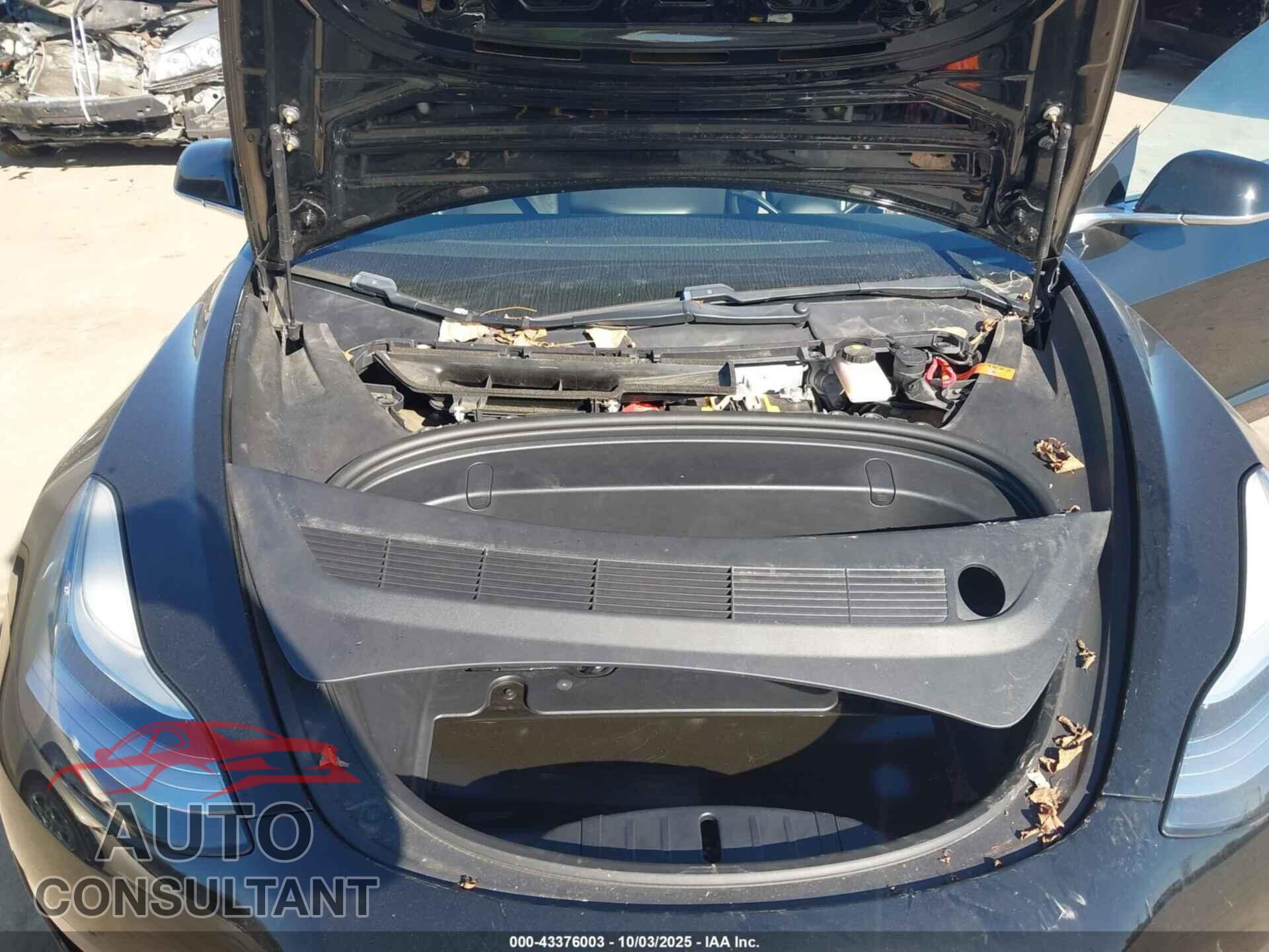 TESLA MODEL 3 2019 - 5YJ3E1EA7KF306476