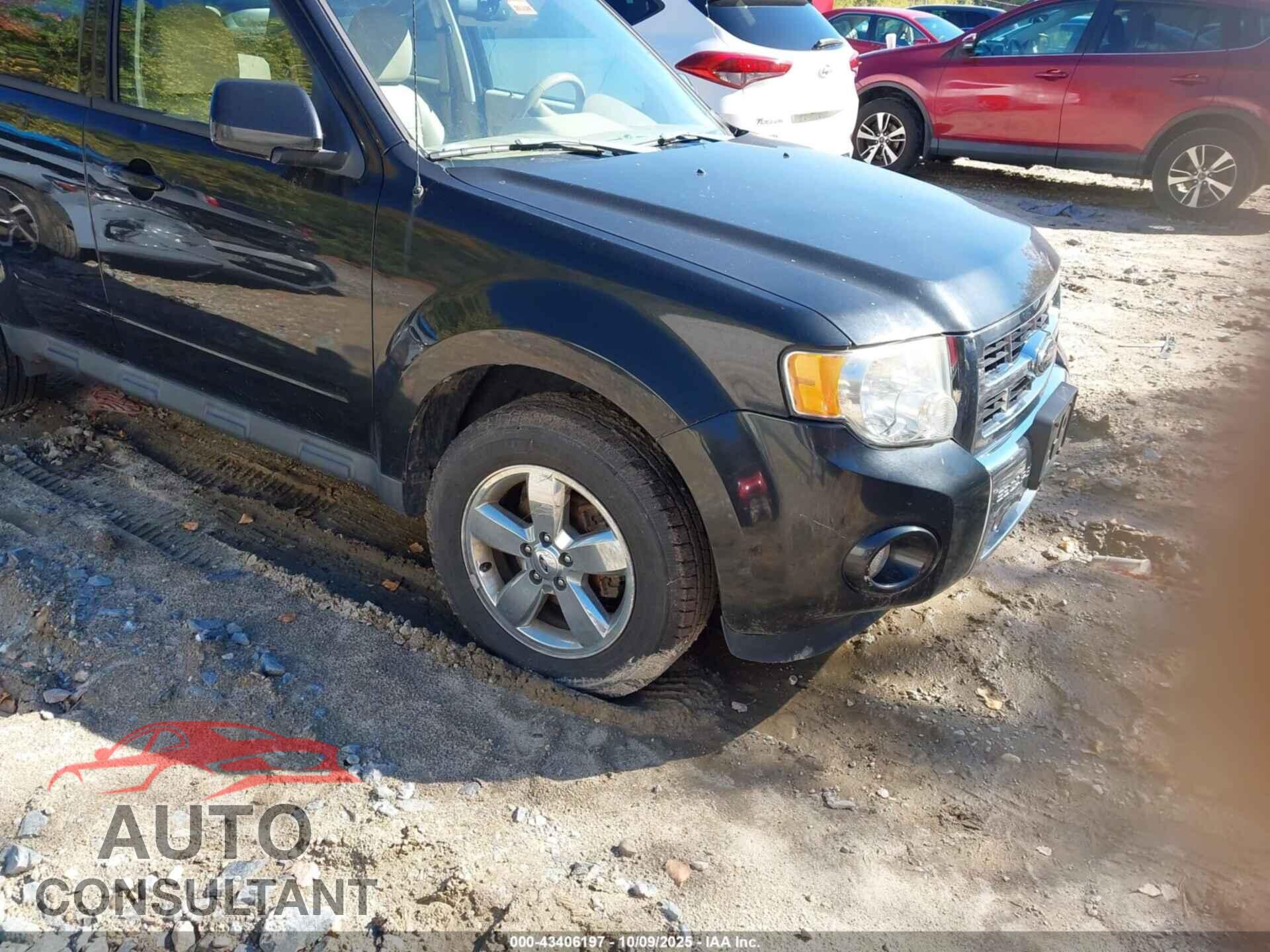 FORD ESCAPE 2011 - 1FMCU9EG7BKB62979