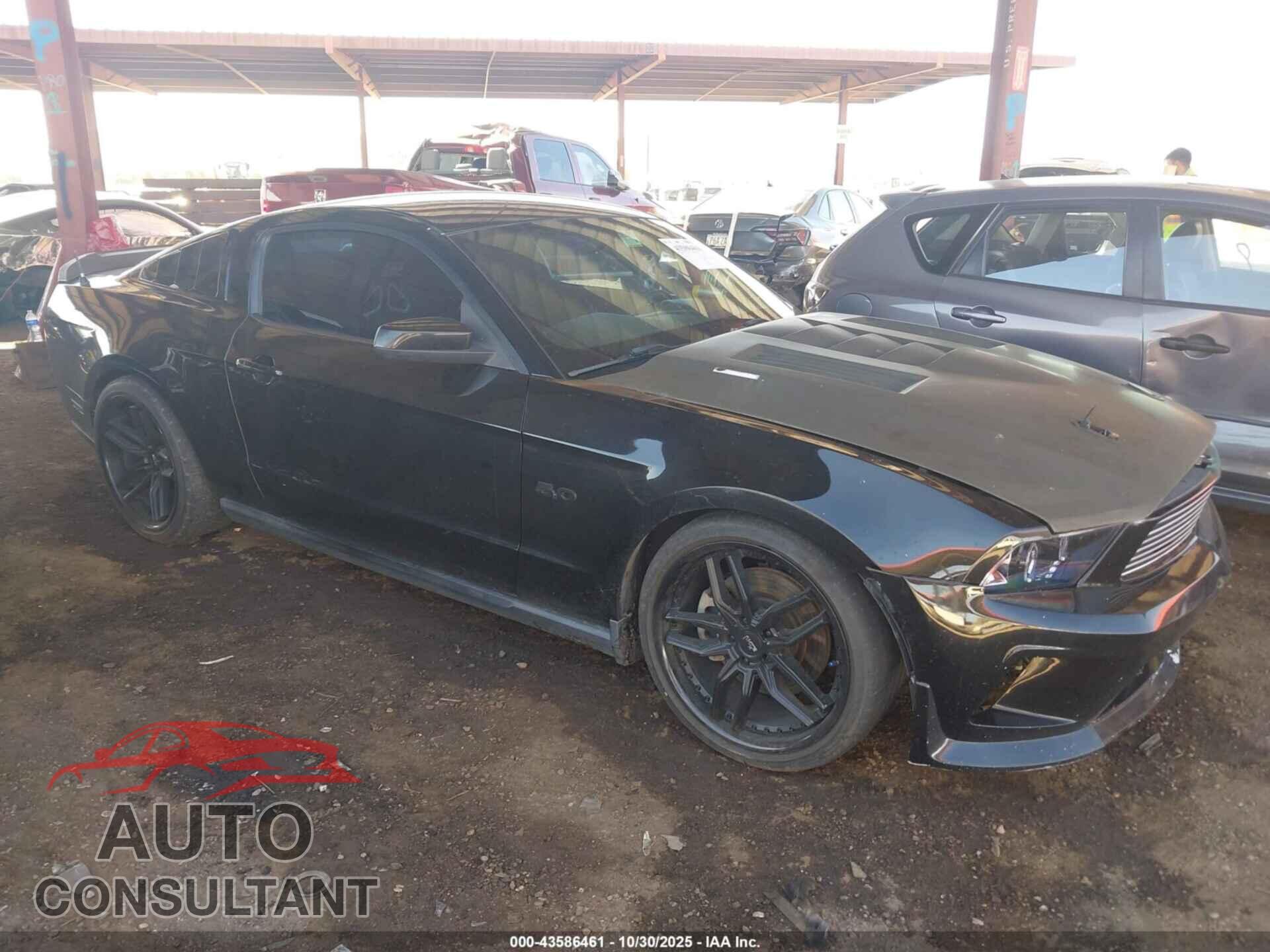 FORD MUSTANG 2011 - 1ZVBP8CF8B5122661