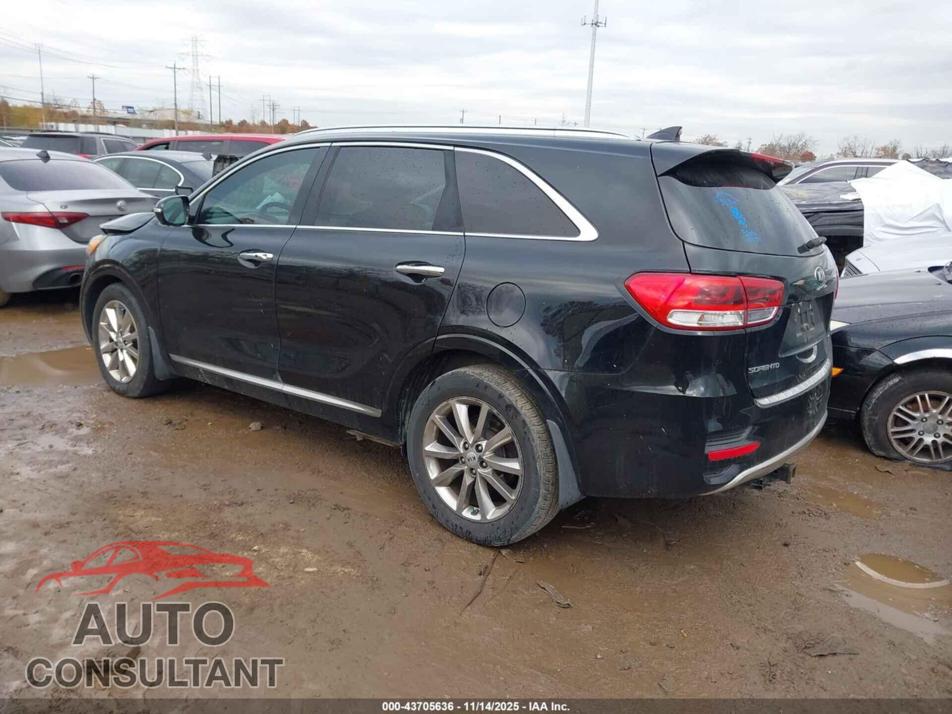 KIA SORENTO 2016 - 5XYPK4A53GG124097