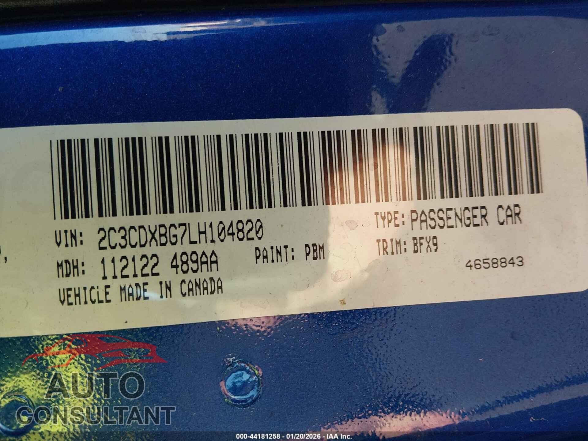 DODGE CHARGER 2020 - 2C3CDXBG7LH104820