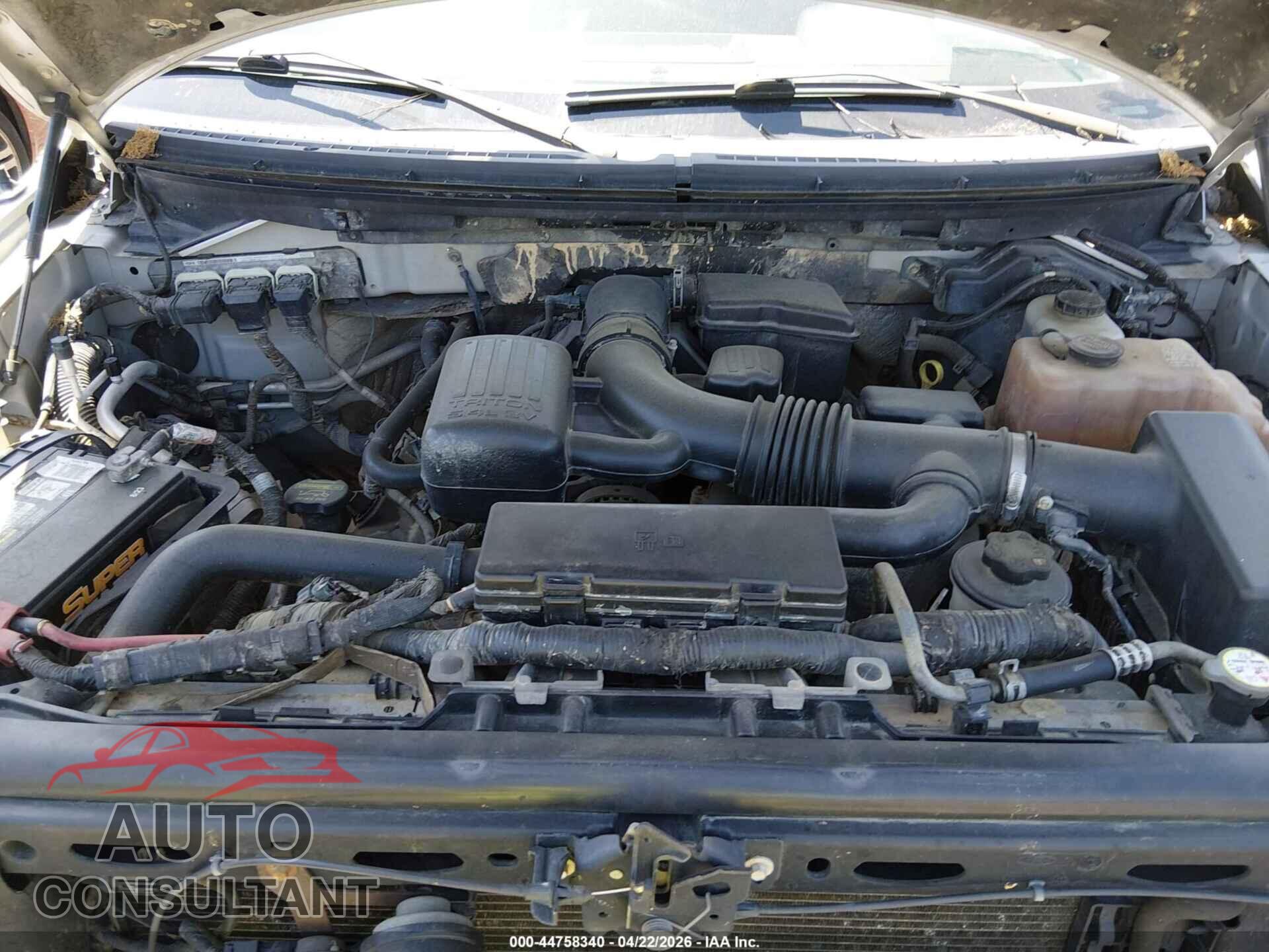 FORD F-150 2010 - 1FTFW1EV2AFC75046