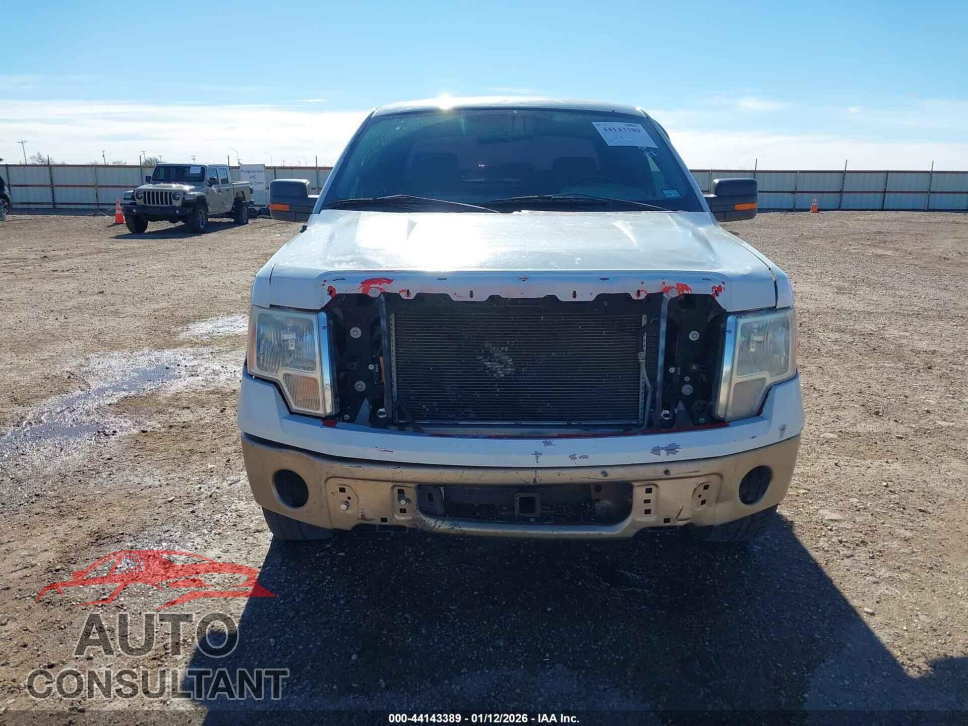 FORD F-150 2012 - 1FTFX1CF2CFB36482