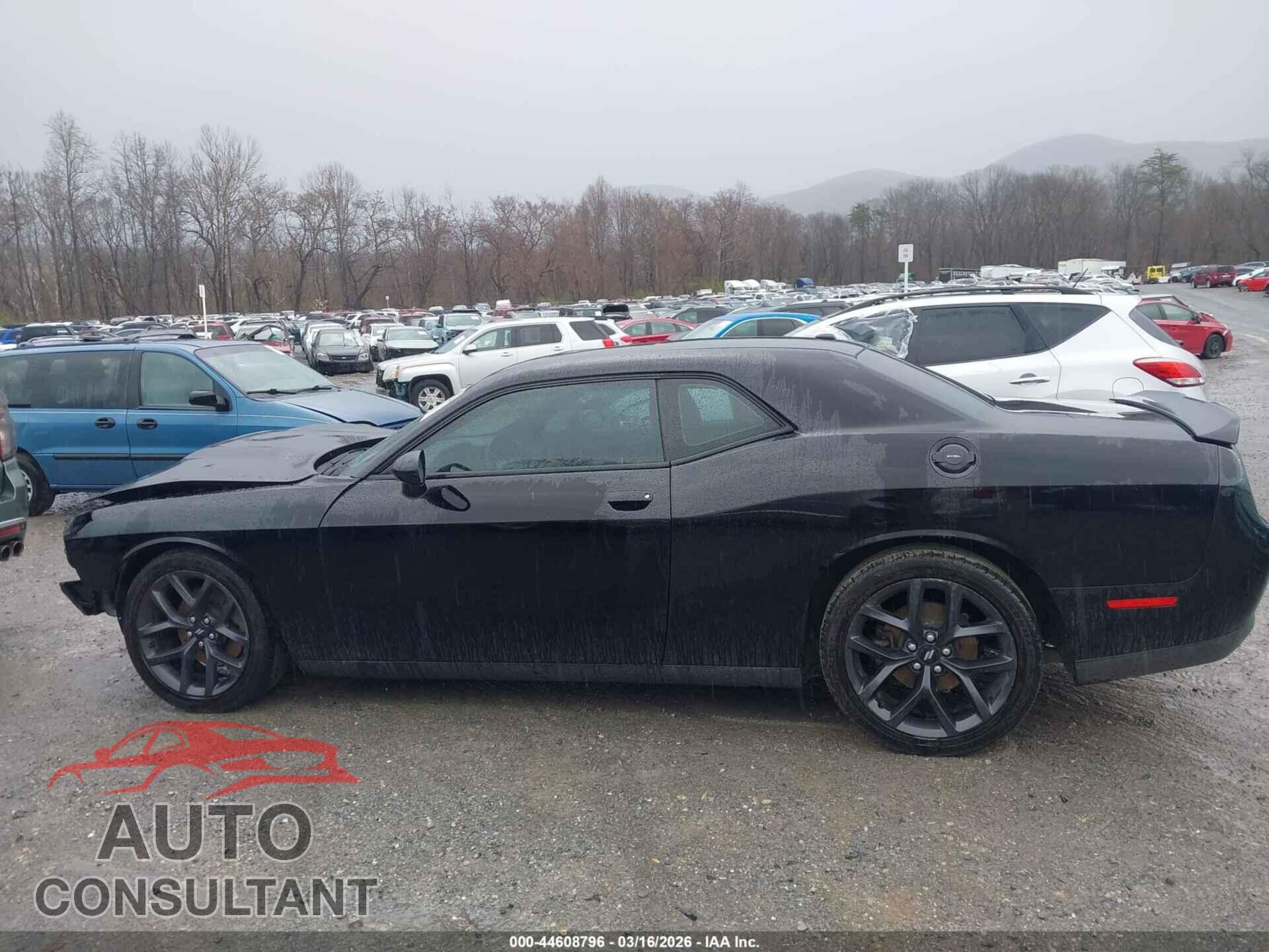 DODGE CHALLENGER 2019 - 2C3CDZJG3KH557330