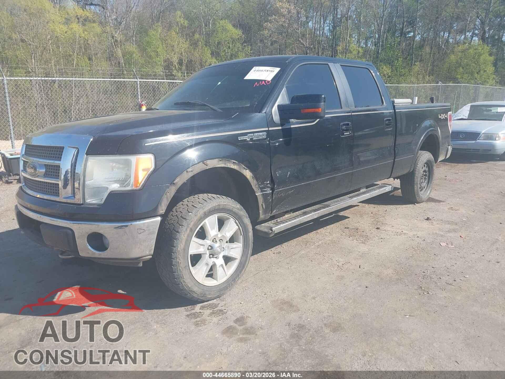 FORD F-150 2011 - 1FTFW1EF8BFC38562