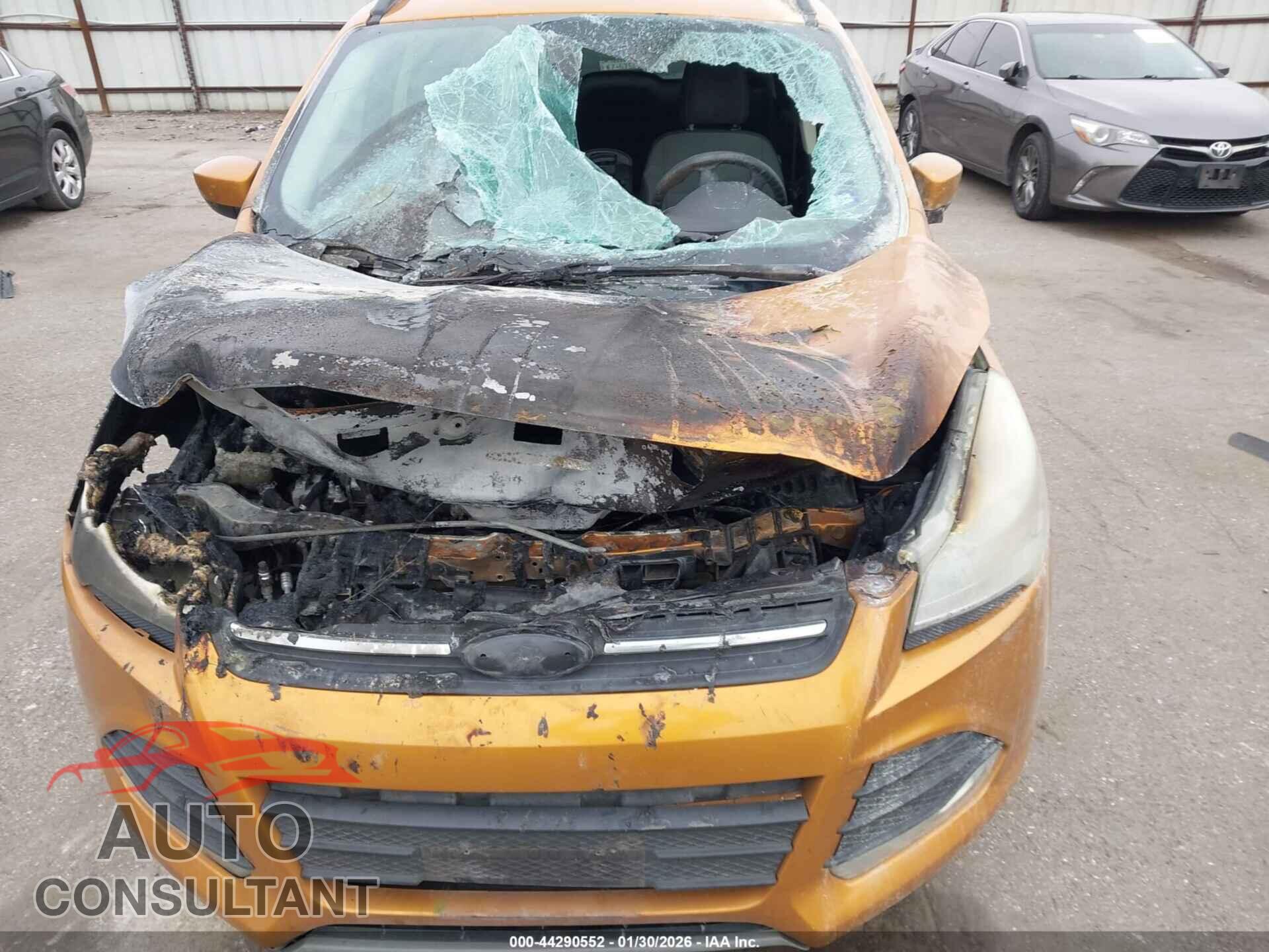 FORD ESCAPE 2016 - 1FMCU0GX8GUA55413