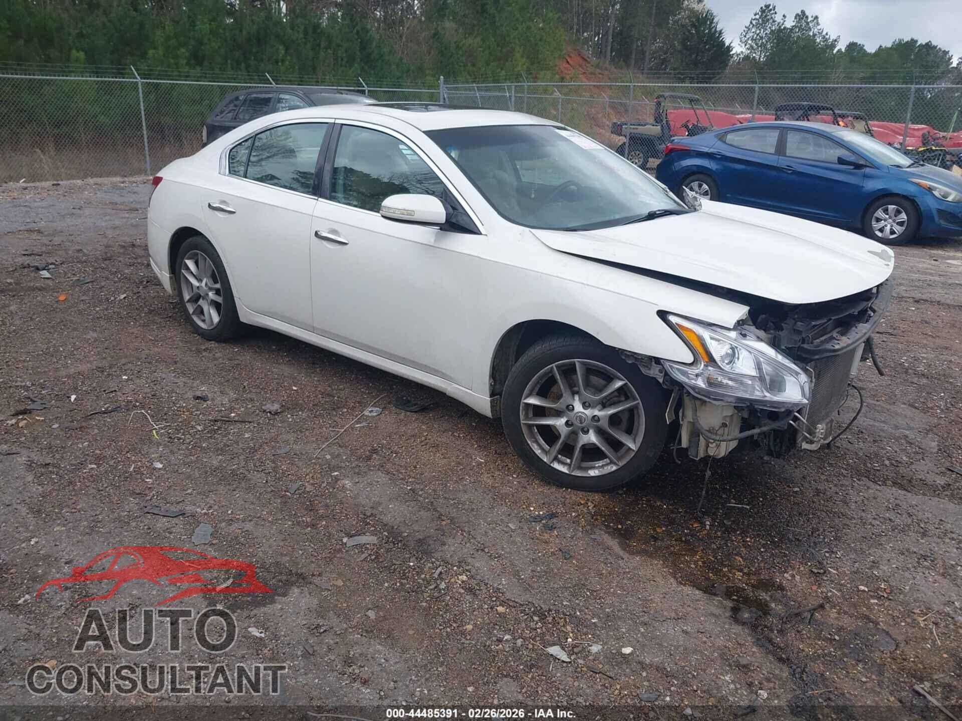 NISSAN MAXIMA 2011 - 1N4AA5AP9BC815508