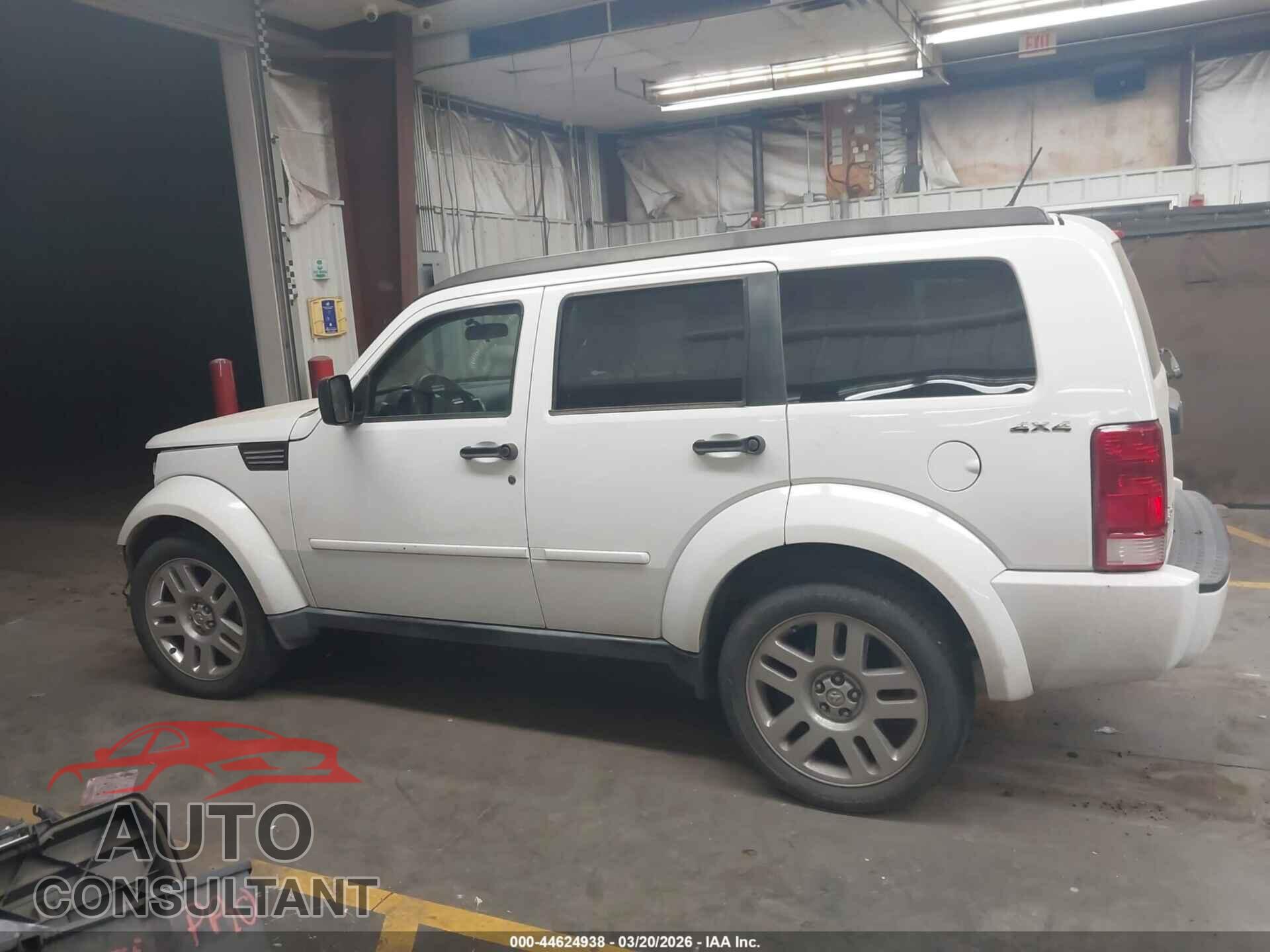 DODGE NITRO 2011 - 1D4PU4GK7BW605847