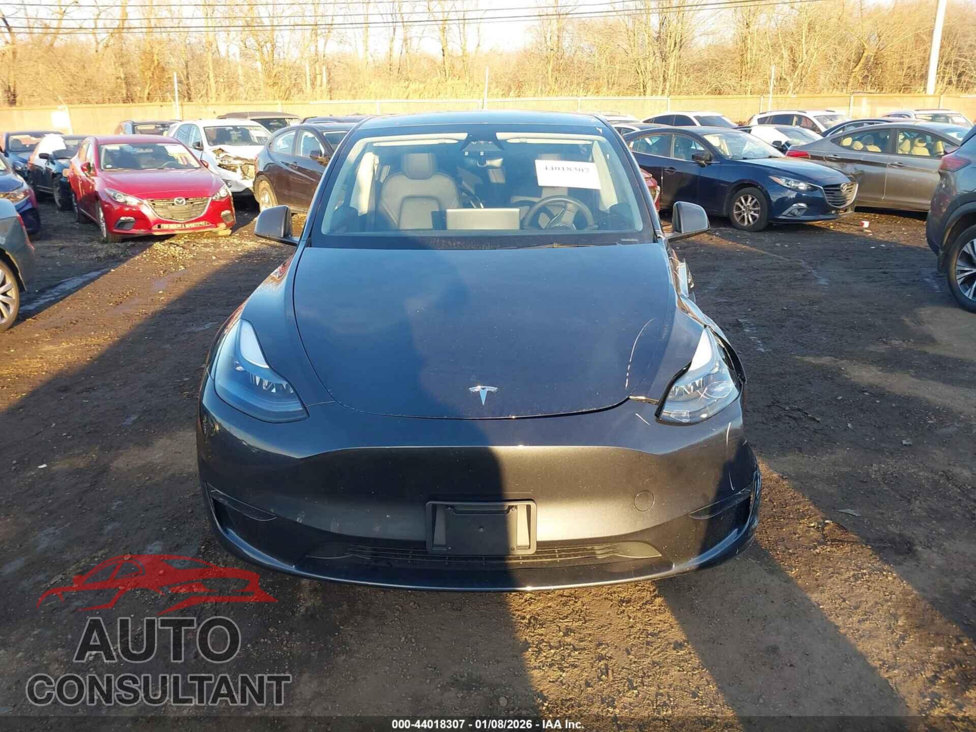 TESLA MODEL Y 2024 - 7SAYGDEE2RF185602