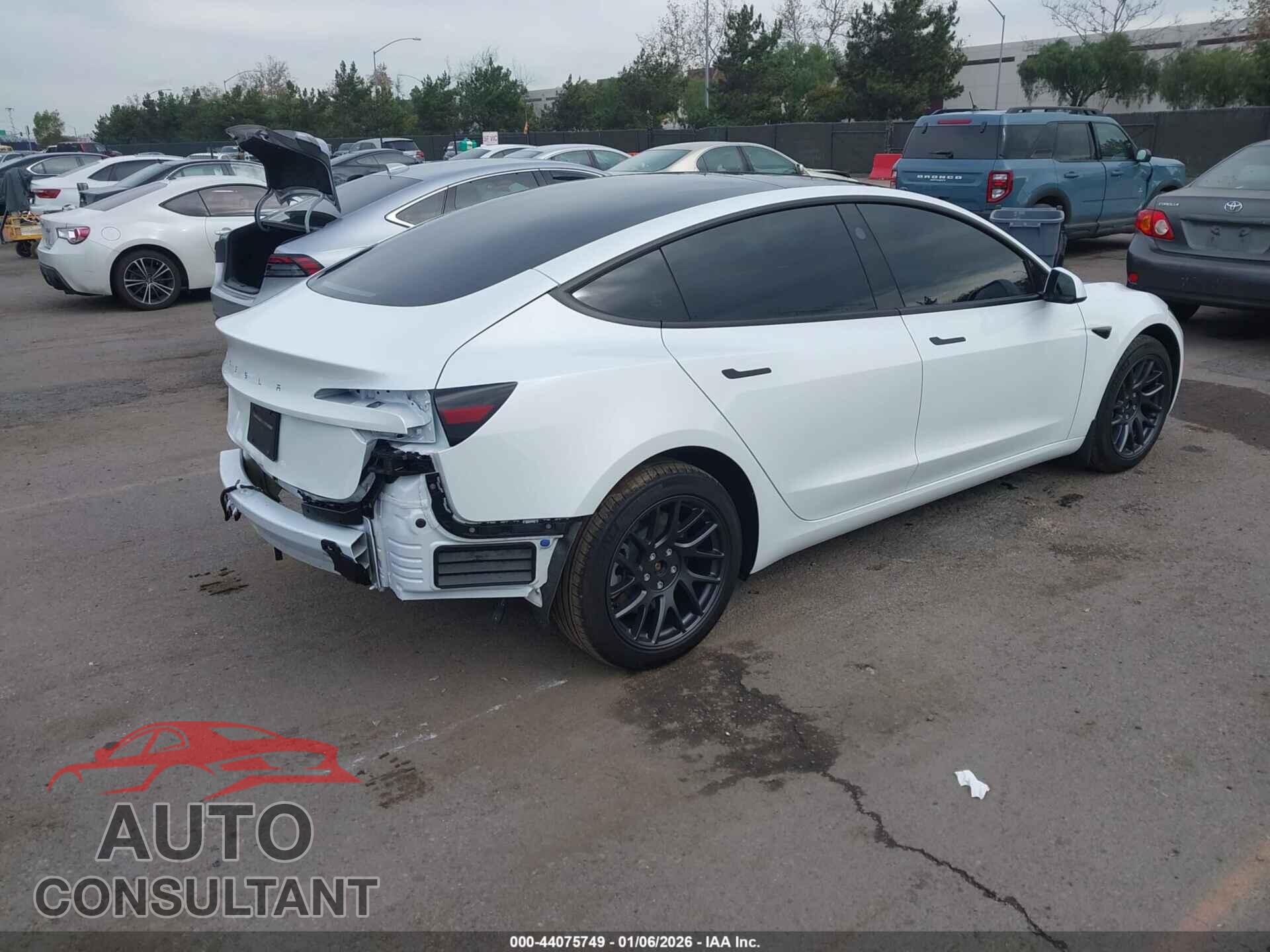 TESLA MODEL 3 2025 - 5YJ3E1EA5SF081281