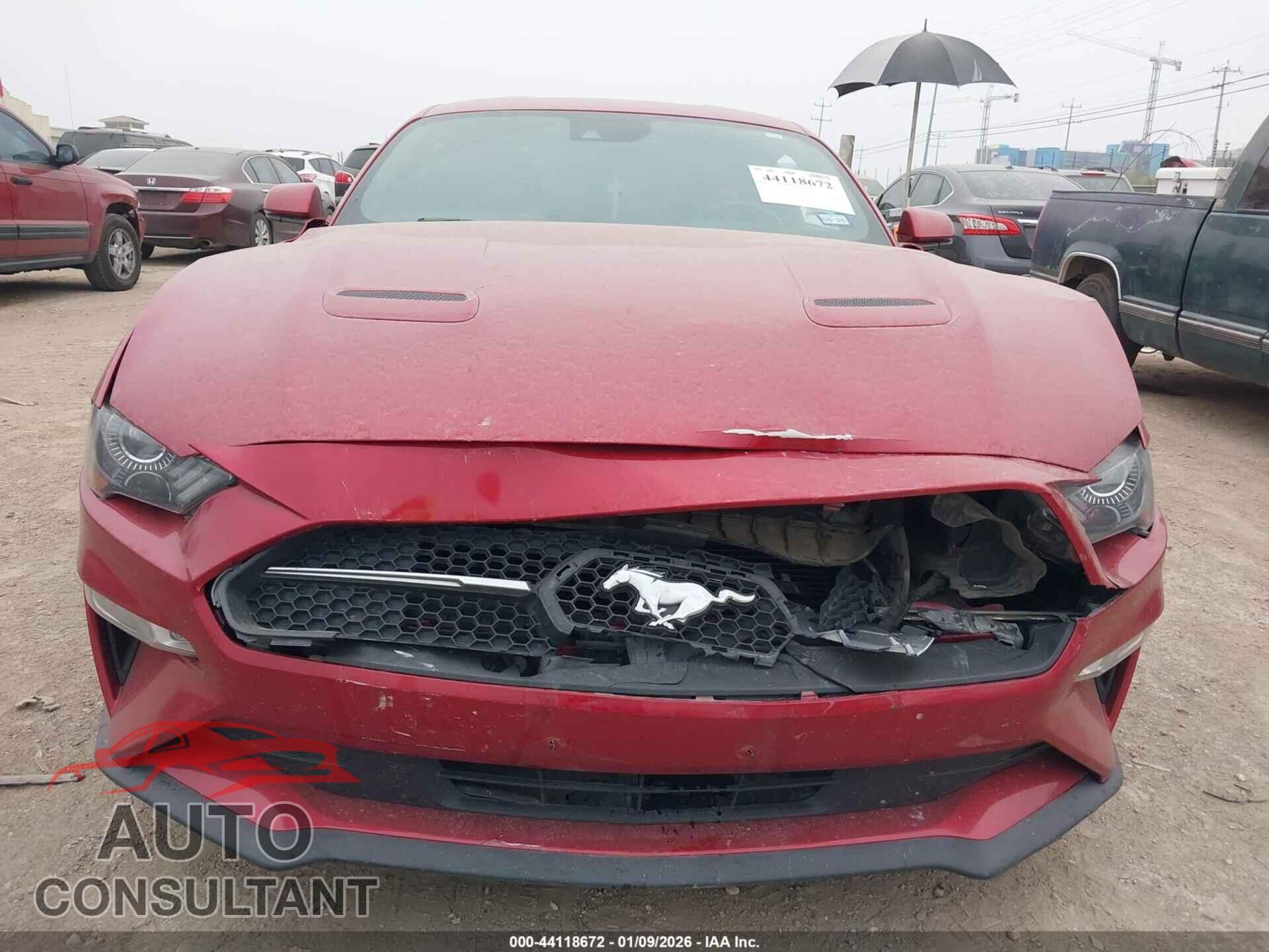 FORD MUSTANG 2021 - 1FA6P8TH5M5108778