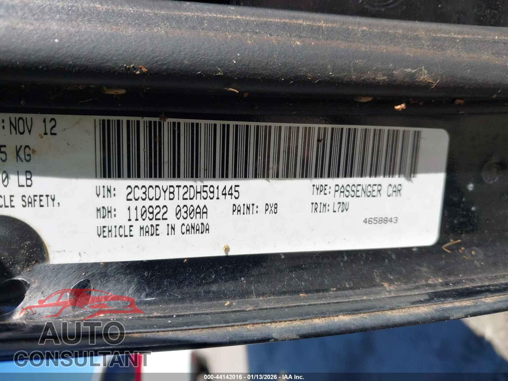 DODGE CHALLENGER 2013 - 2C3CDYBT2DH591445