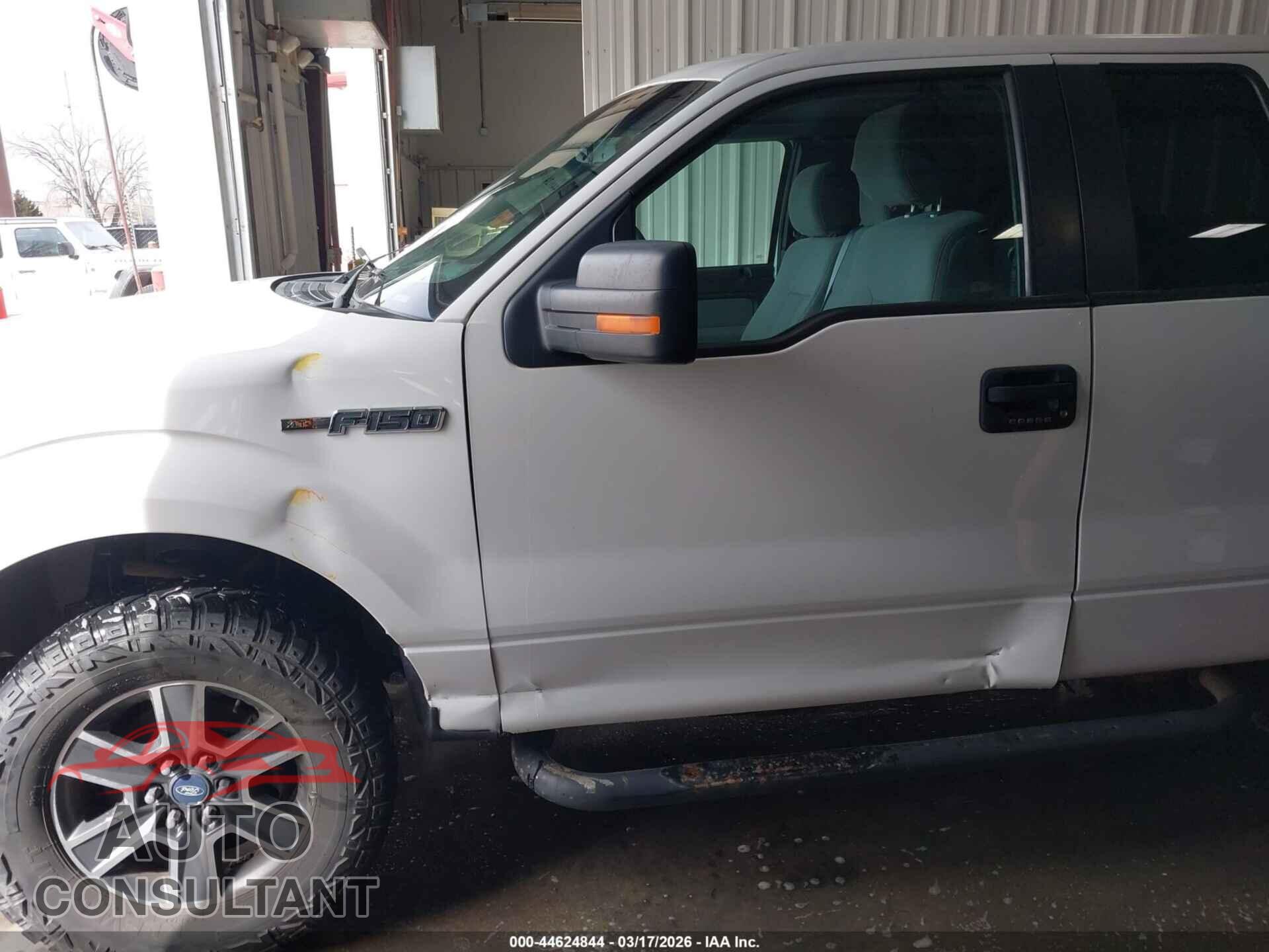 FORD F-150 2014 - 1FTFX1EFXEFA29499