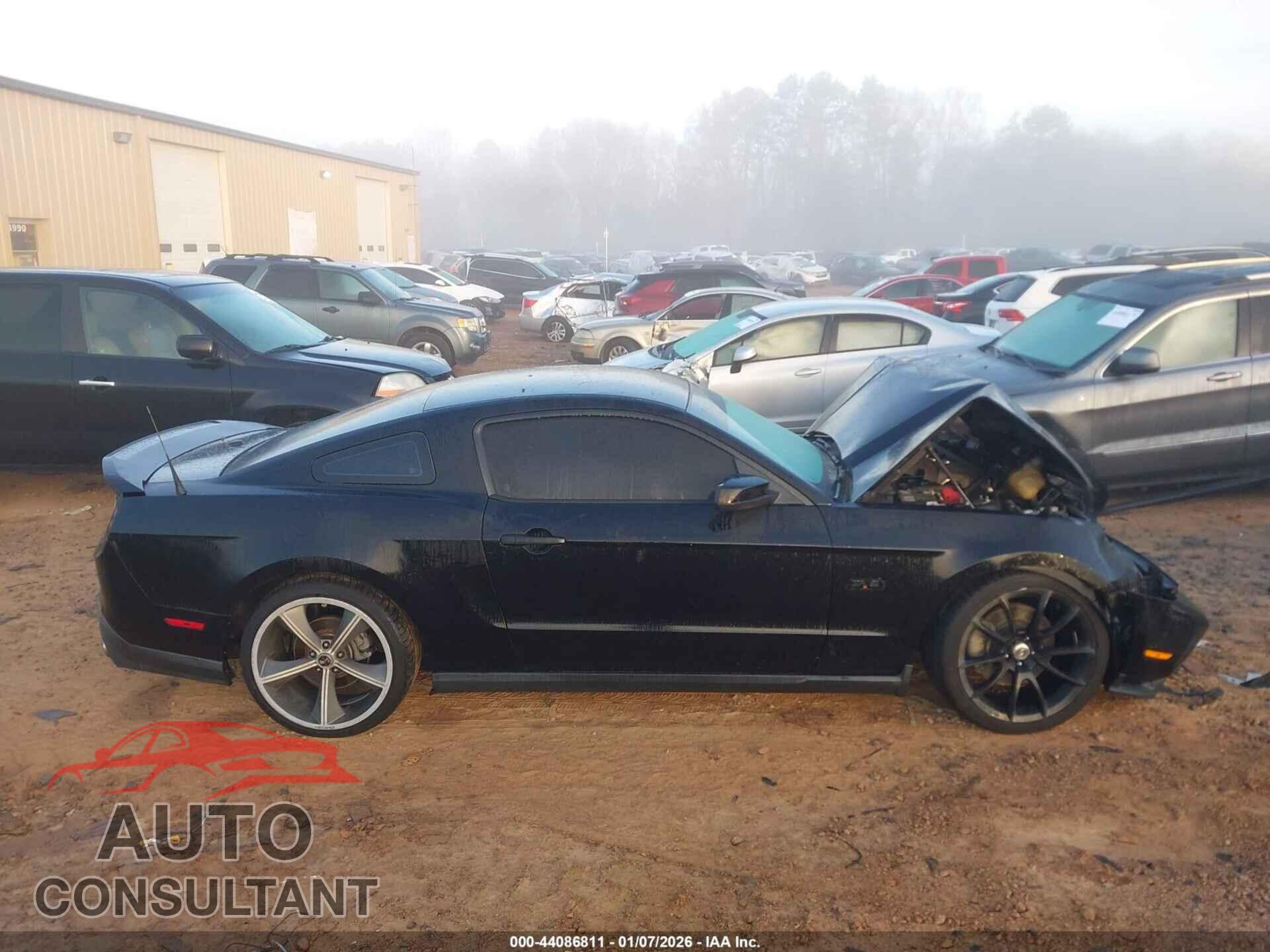 FORD MUSTANG 2011 - 1ZVBP8CF2B5146566