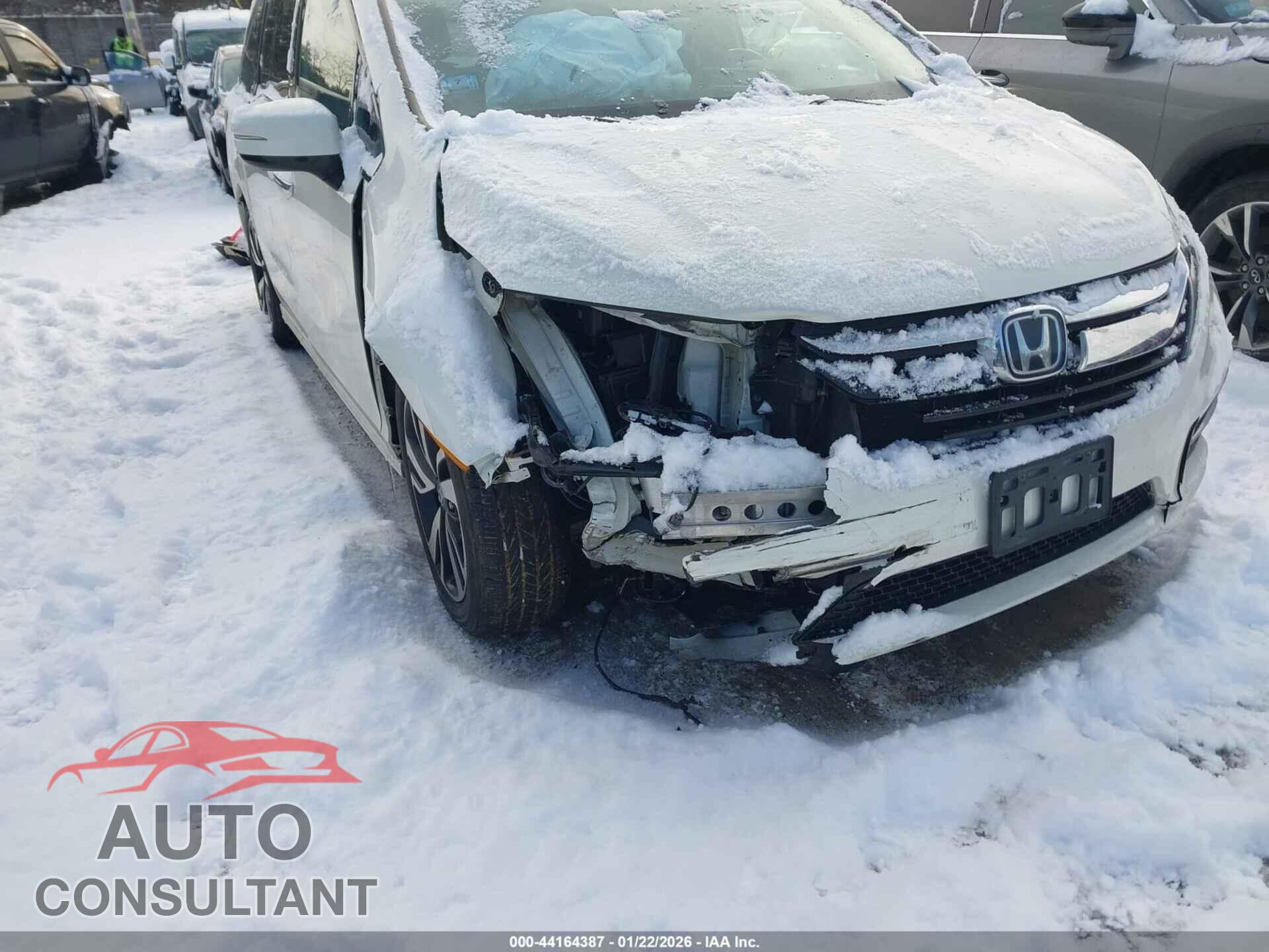 HONDA ODYSSEY 2019 - 5FNRL6H92KB044221