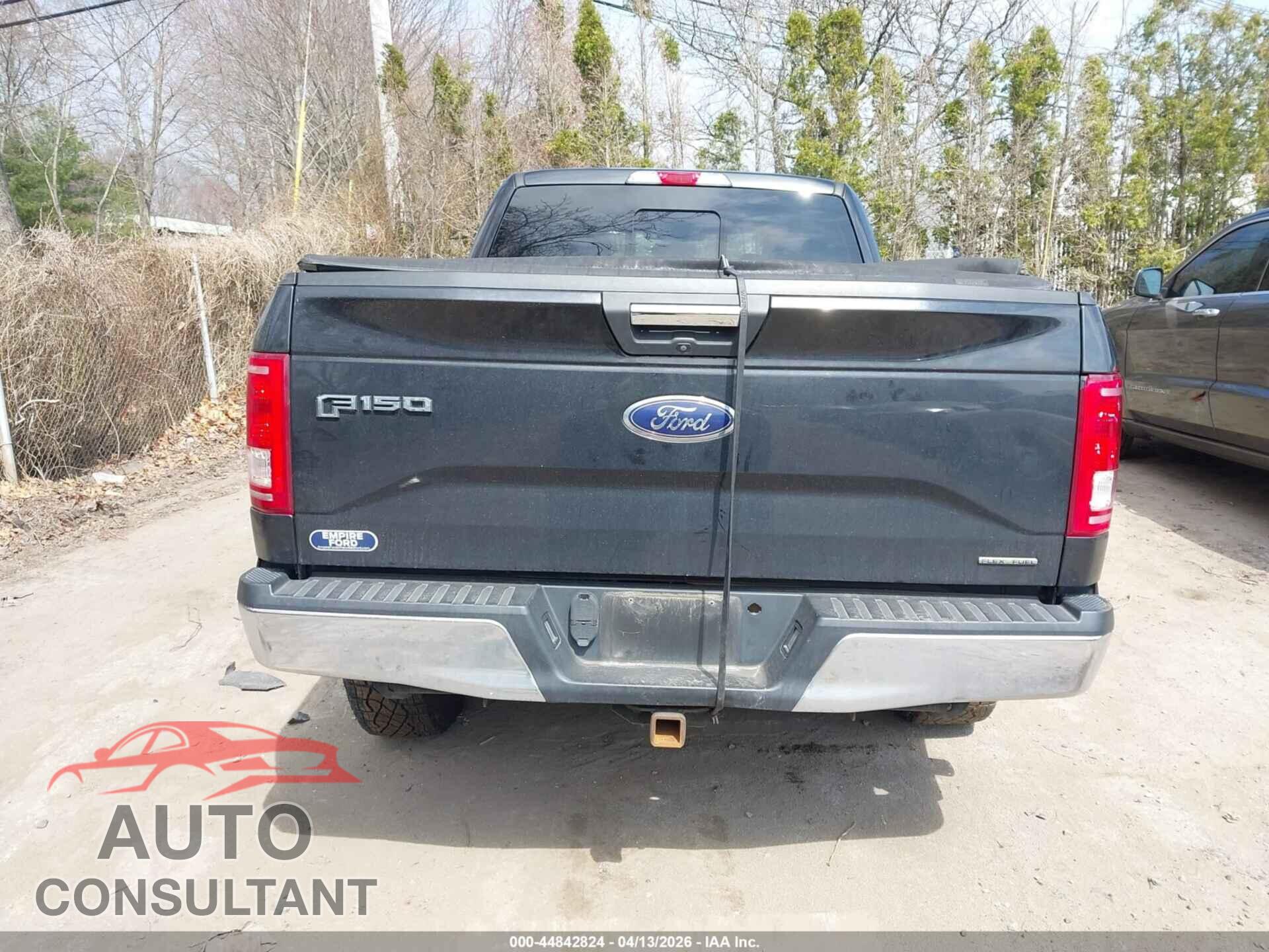 FORD F-150 2015 - 1FTFX1EF3FKE94988