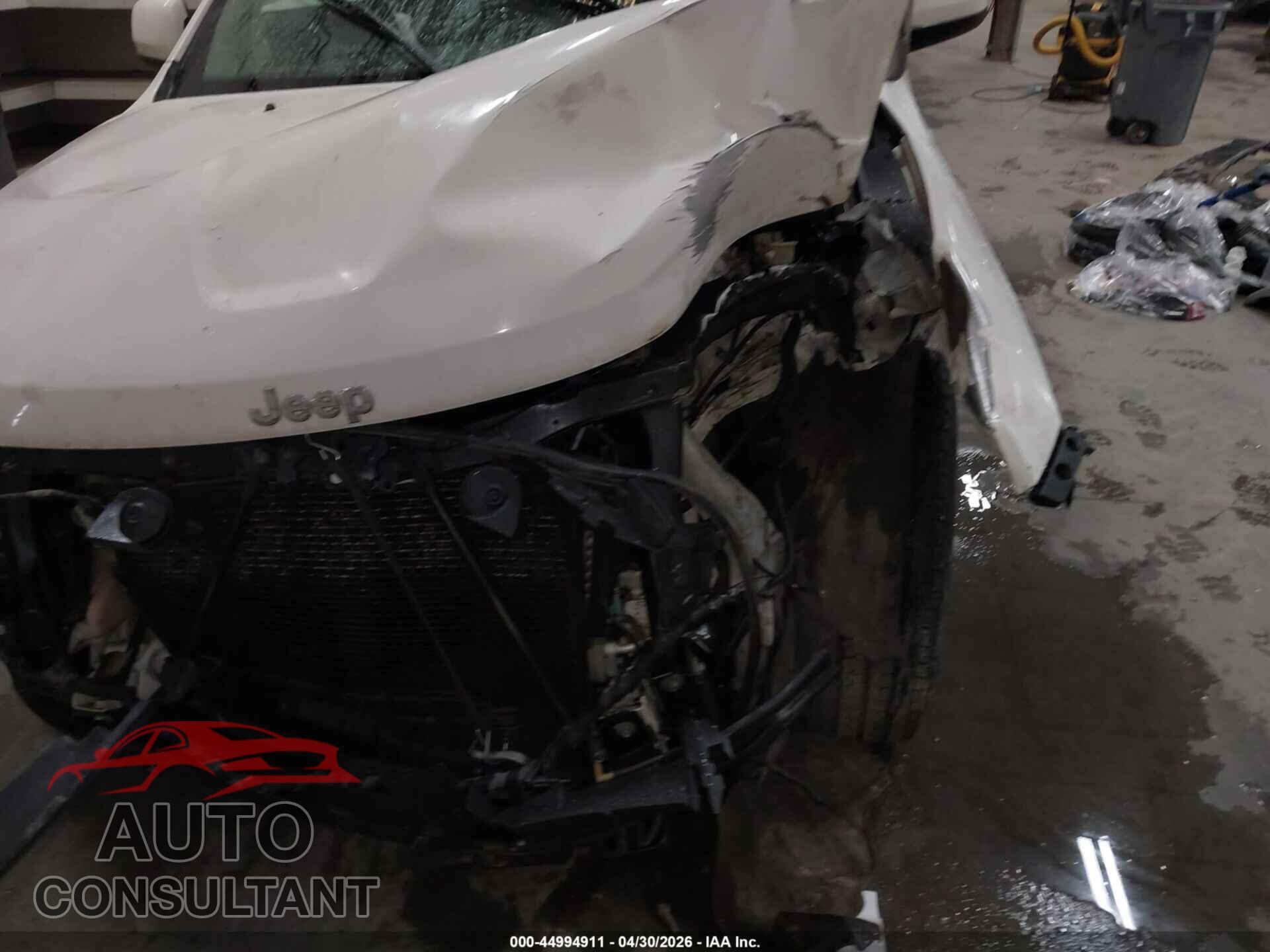 JEEP GRAND CHEROKEE 2011 - 1J4RR4GG4BC660710