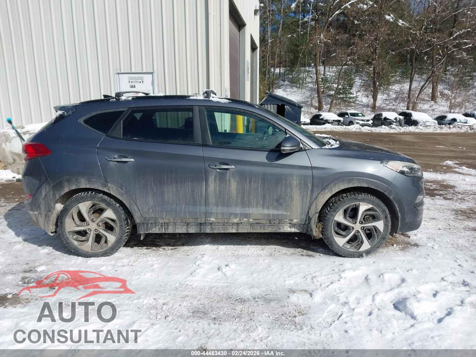HYUNDAI TUCSON 2016 - KM8J3CA2XGU120741