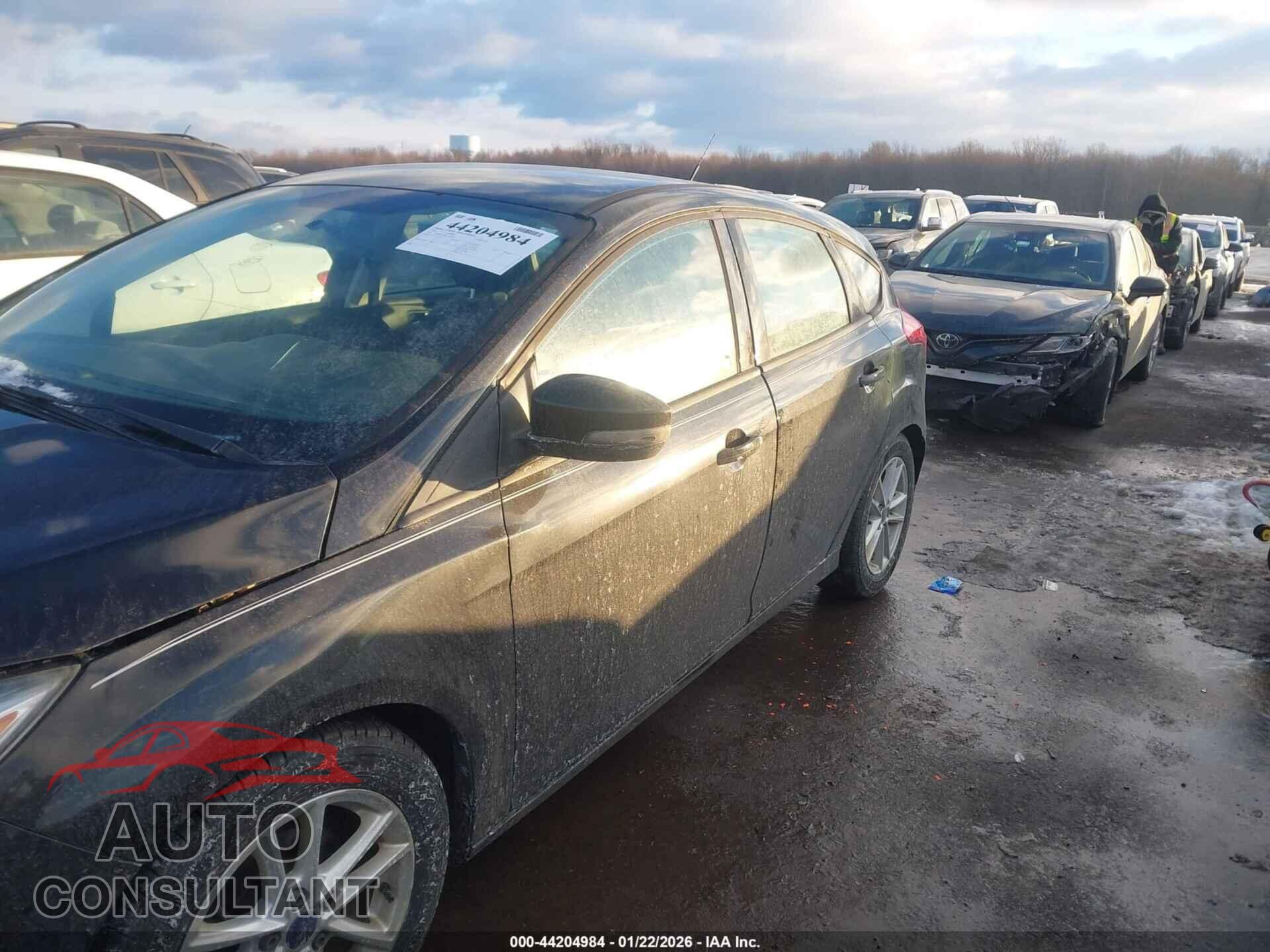 FORD FOCUS 2015 - 1FADP3K29FL310979