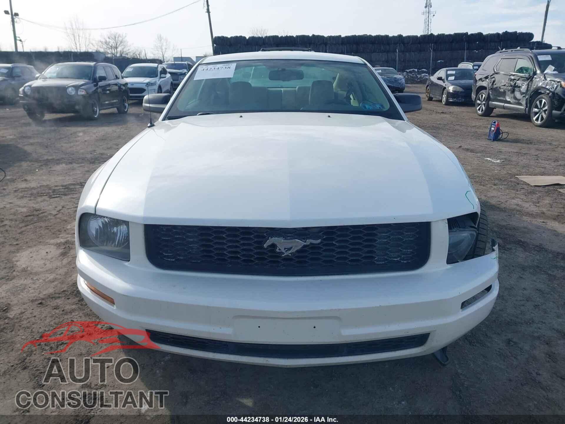 FORD MUSTANG 2009 - 1ZVHT80N795127085