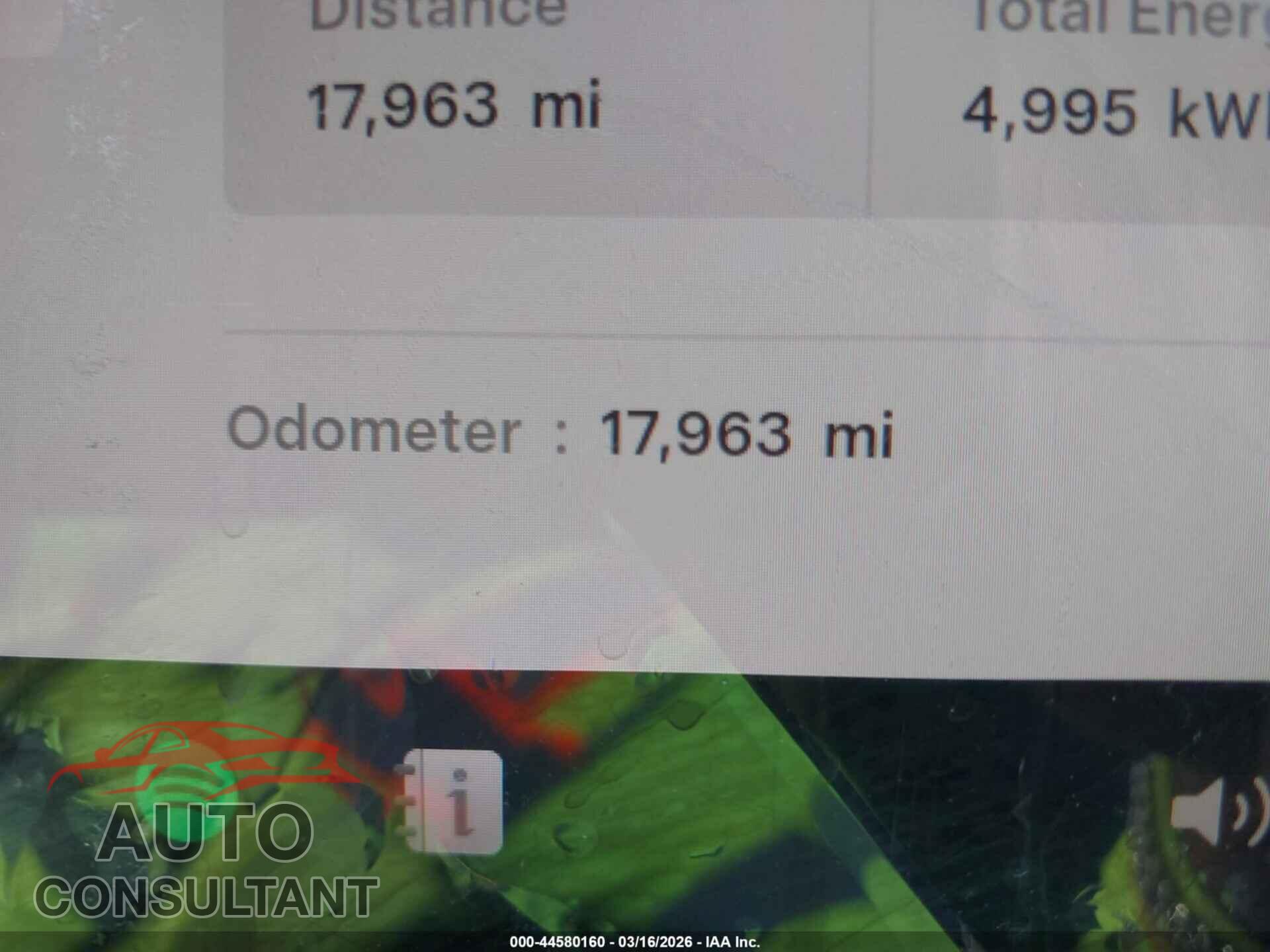TESLA MODEL Y 2024 - 7SAYGDEF8RF158588