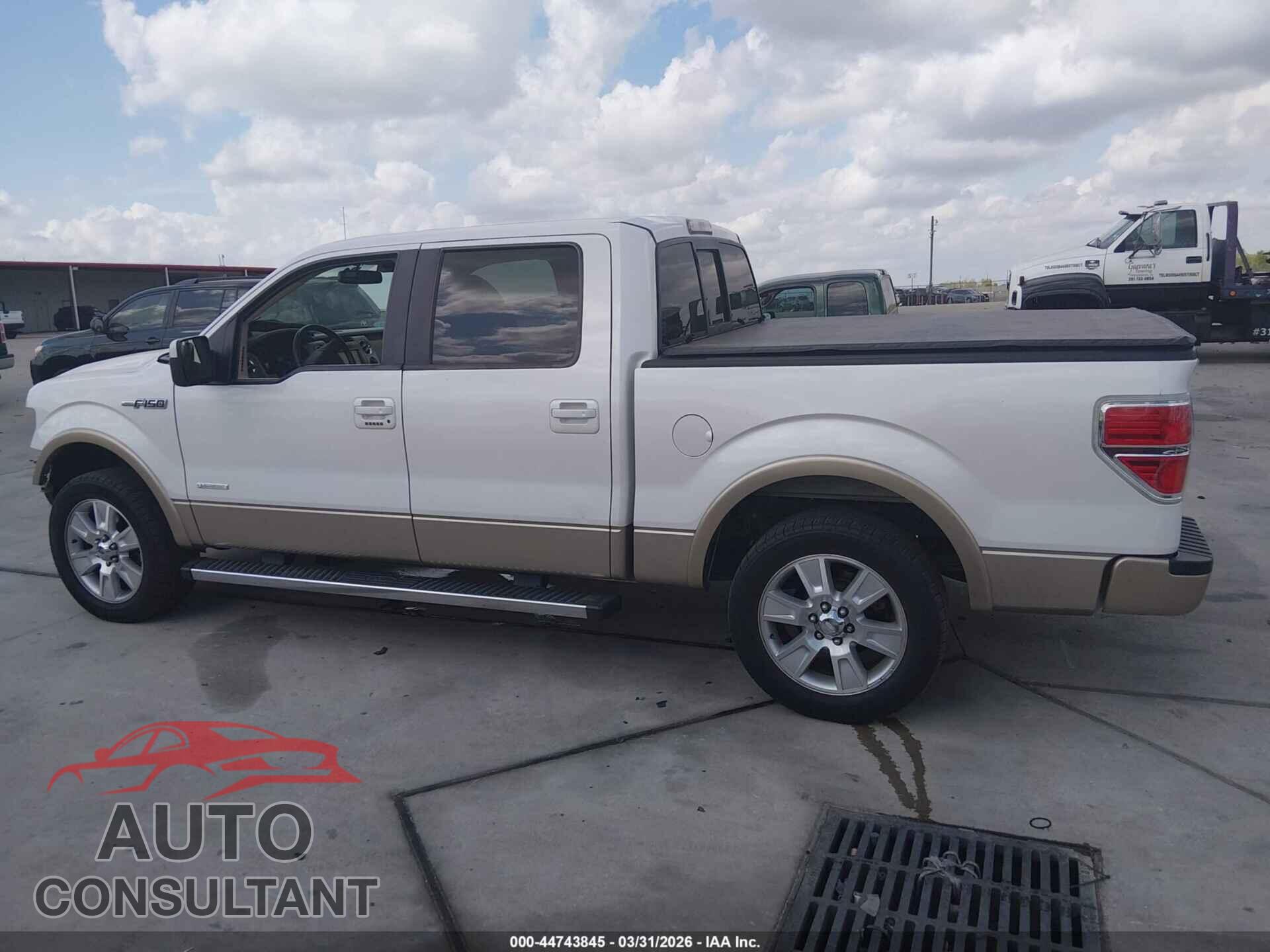 FORD F-150 2011 - 1FTFW1CT5BFD09550