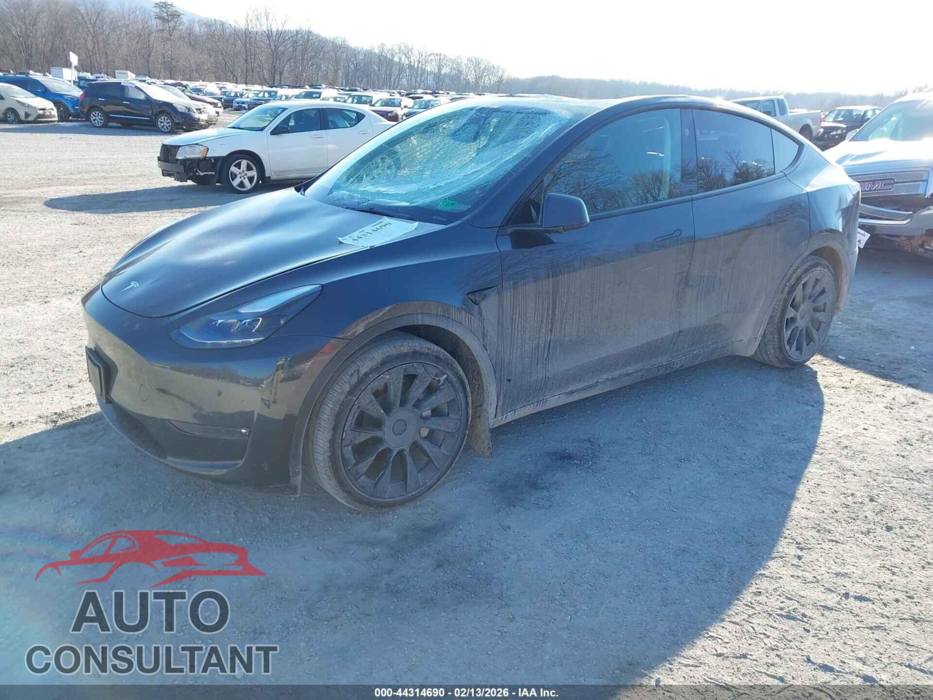 TESLA MODEL Y 2024 - 7SAYGAEE9RF018989