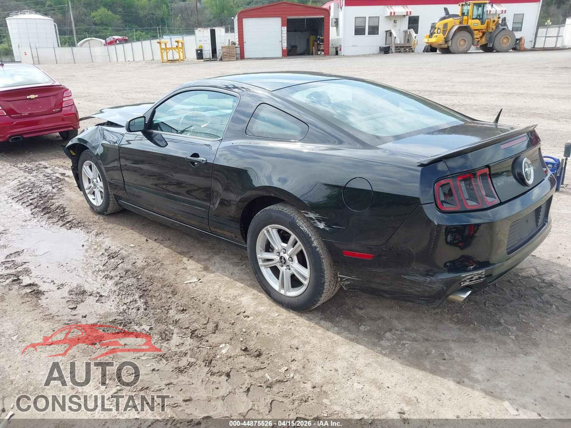 FORD MUSTANG 2013 - 1ZVBP8AM8D5202546