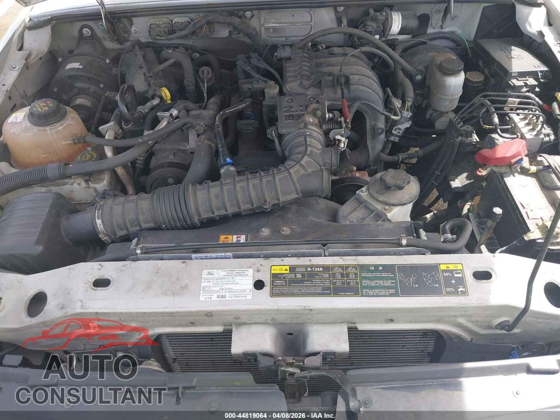 FORD RANGER 2011 - 1FTKR1AD2BPB19278