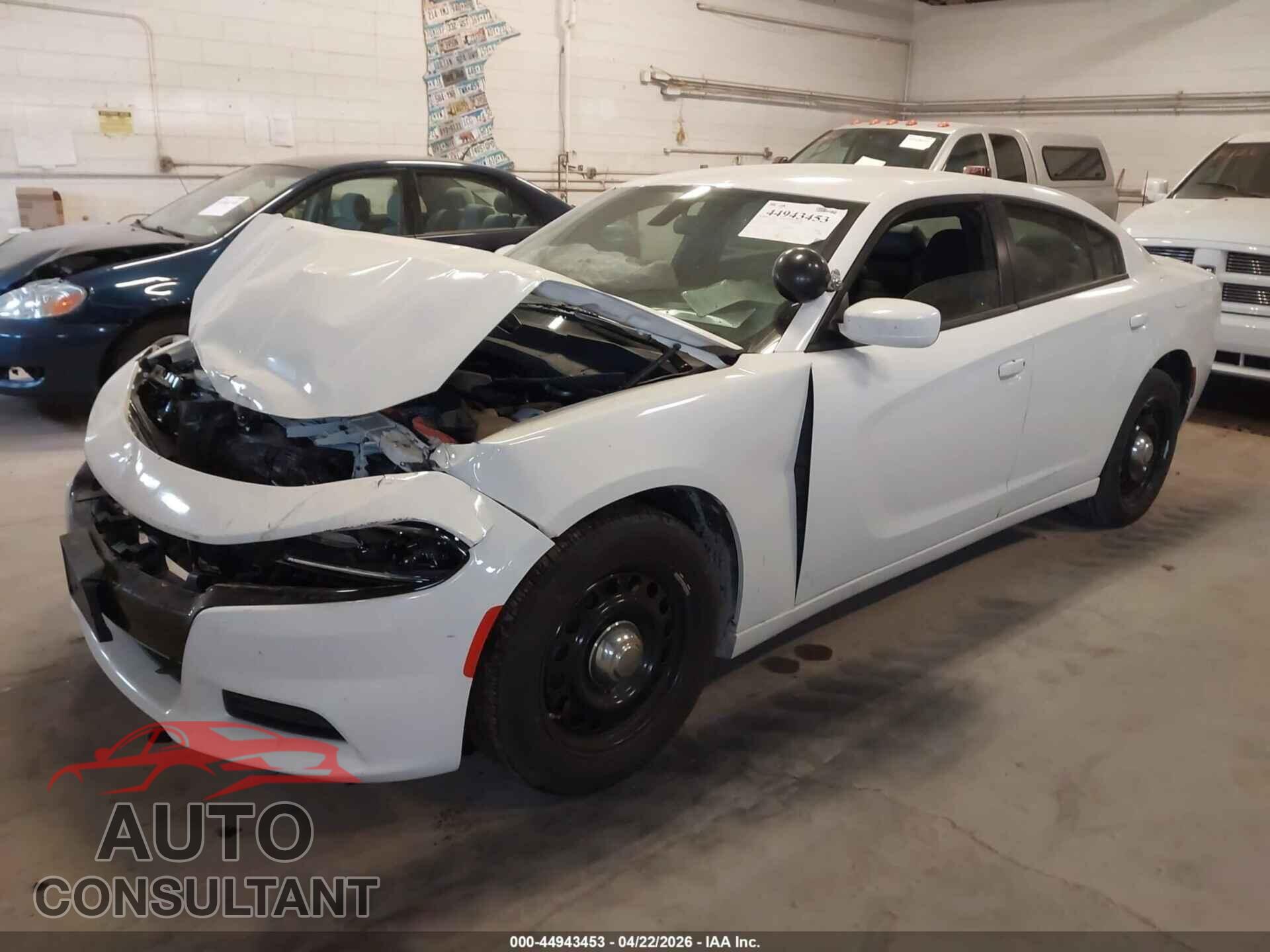 DODGE CHARGER 2019 - 2C3CDXKT0KH622859