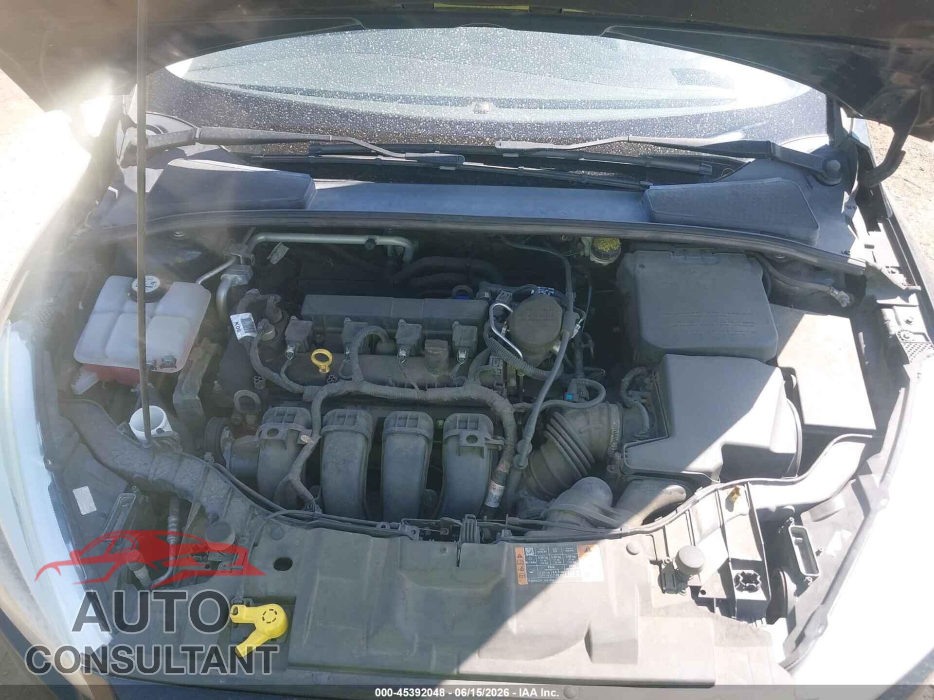 FORD FOCUS 2016 - 1FADP3F23GL256185