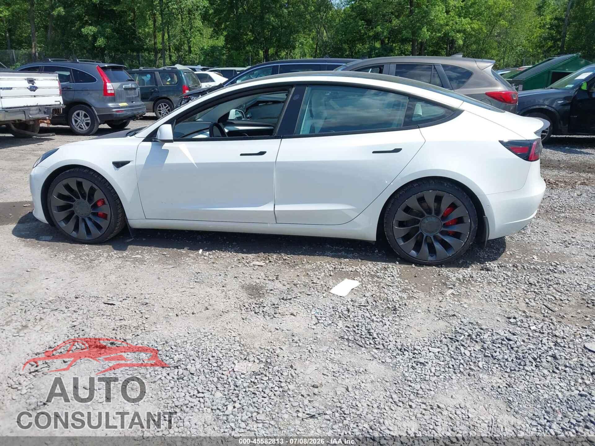 TESLA MODEL 3 2021 - 5YJ3E1EC8MF973335
