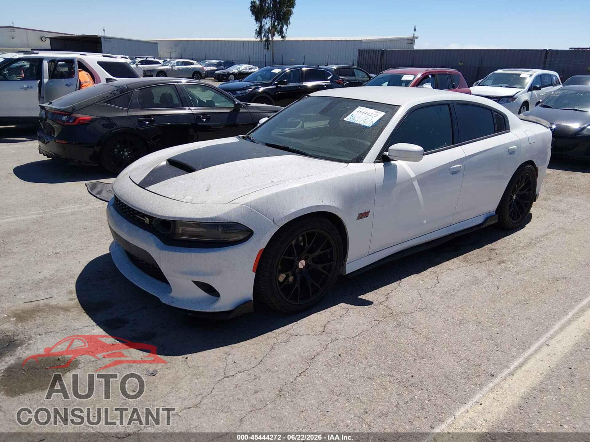 DODGE CHARGER 2019 - 2C3CDXGJ8KH710520