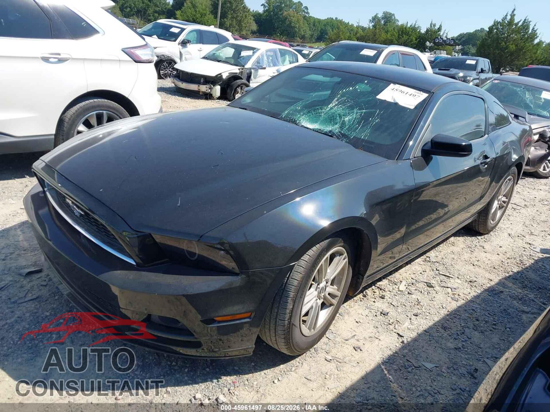 FORD MUSTANG 2013 - 1ZVBP8AM0D5262045