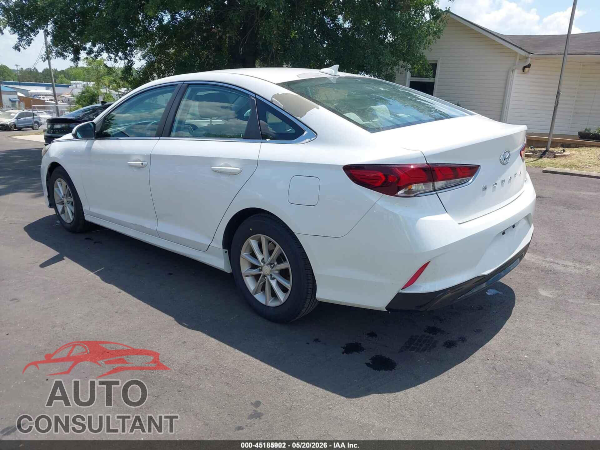 HYUNDAI SONATA 2019 - 5NPE24AA6KH774144