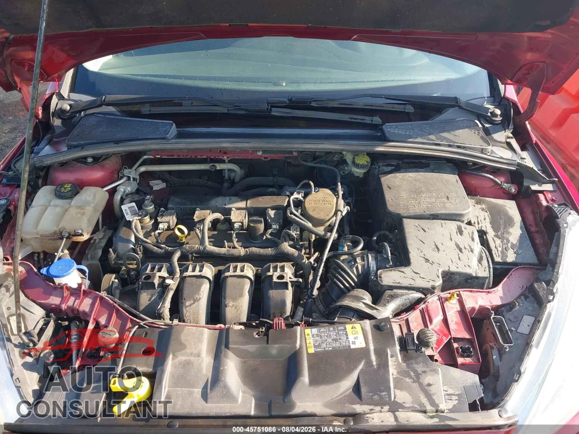 FORD FOCUS 2016 - 1FADP3K24GL244732