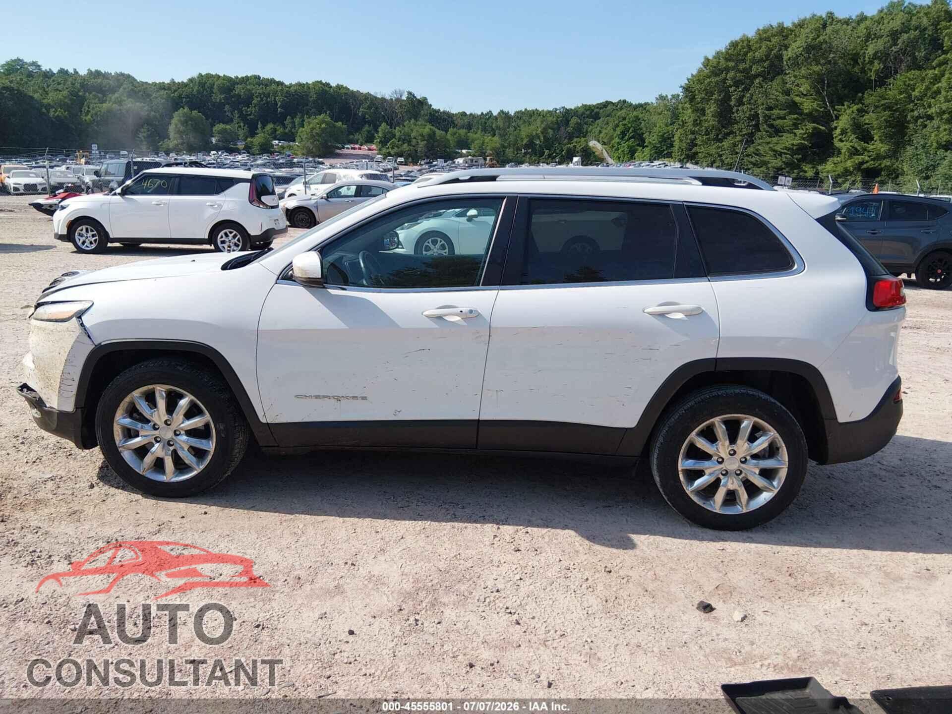 JEEP CHEROKEE 2017 - 1C4PJLDB4HW642013